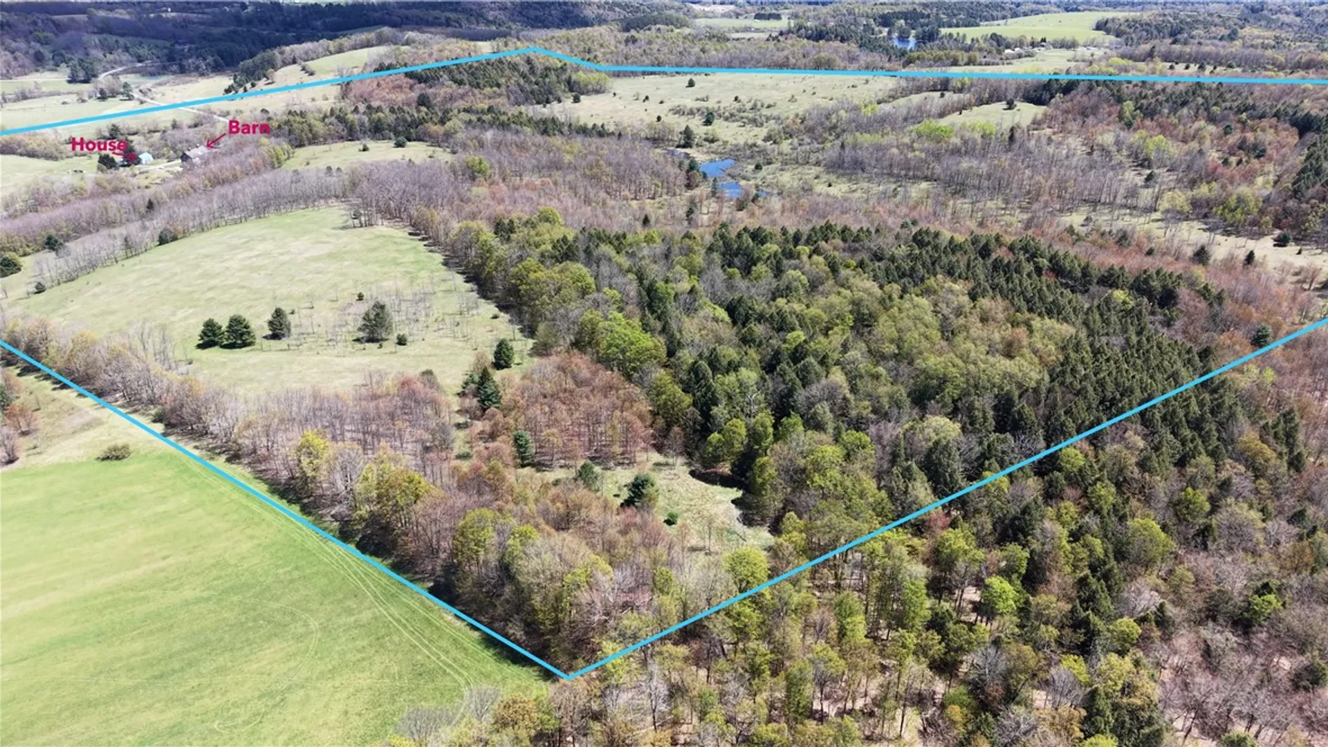 Property at 328 Miller Road, Pittsfield, NY 13411 38