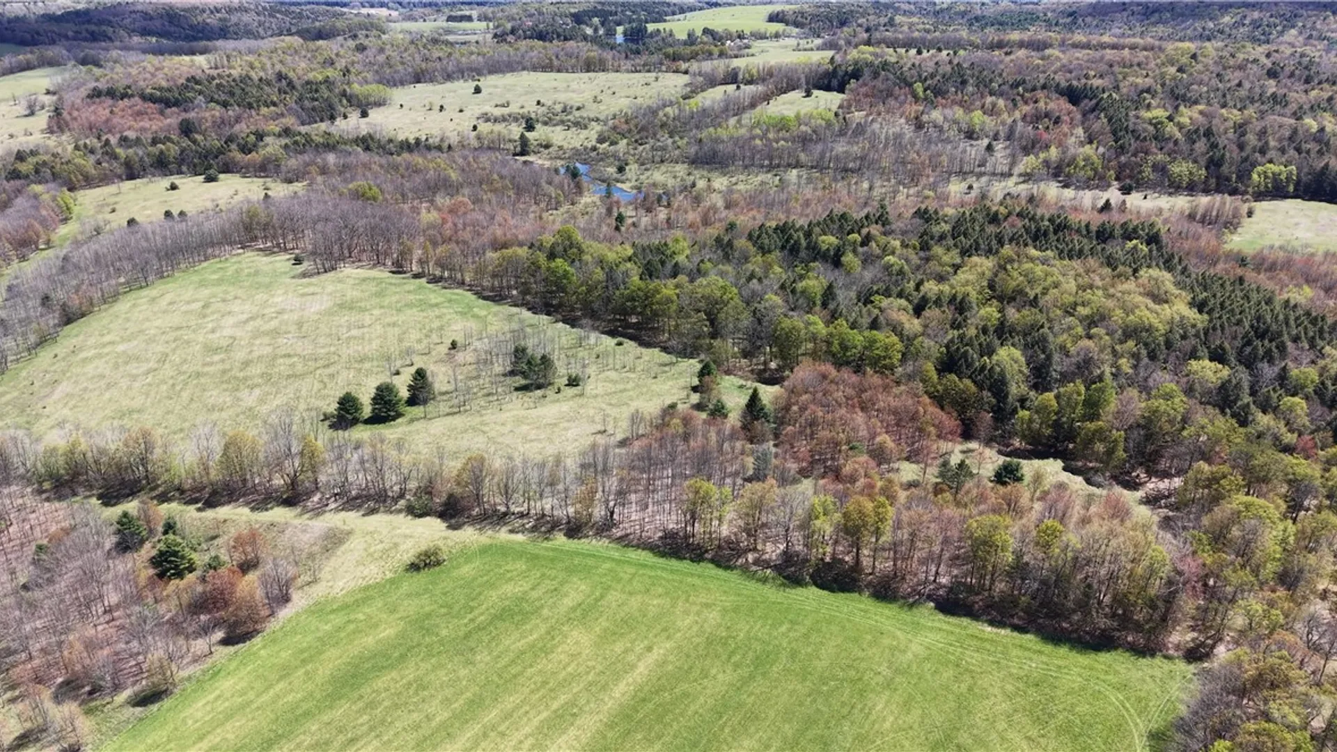 Property at 328 Miller Road, Pittsfield, NY 13411 39
