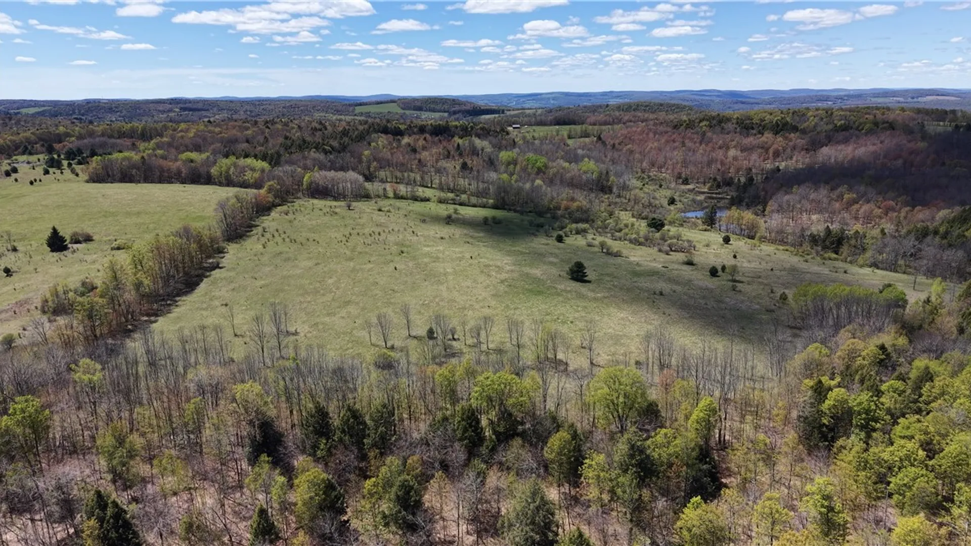 Property at 328 Miller Road, Pittsfield, NY 13411 43
