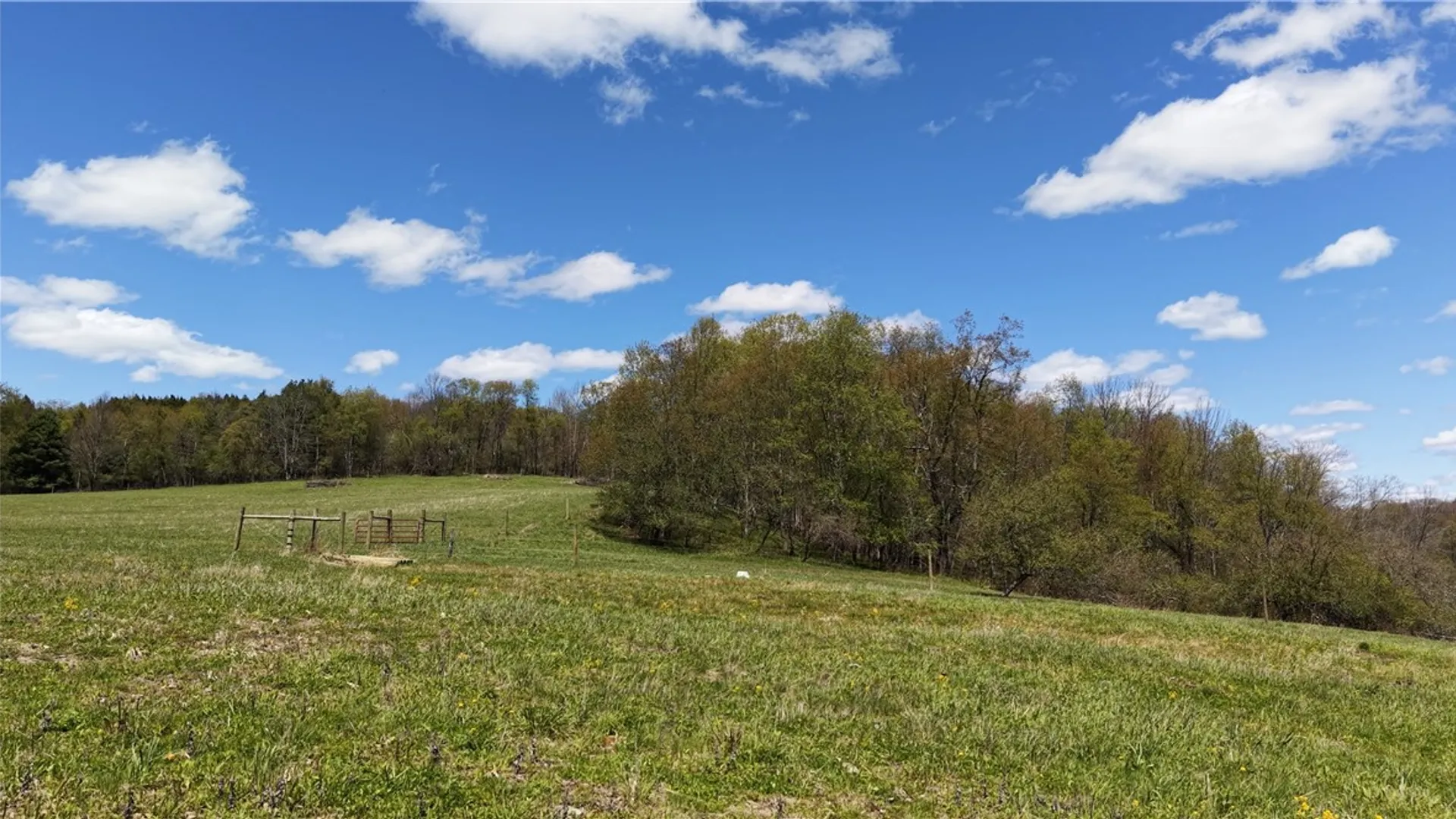 Property at 328 Miller Road, Pittsfield, NY 13411 49