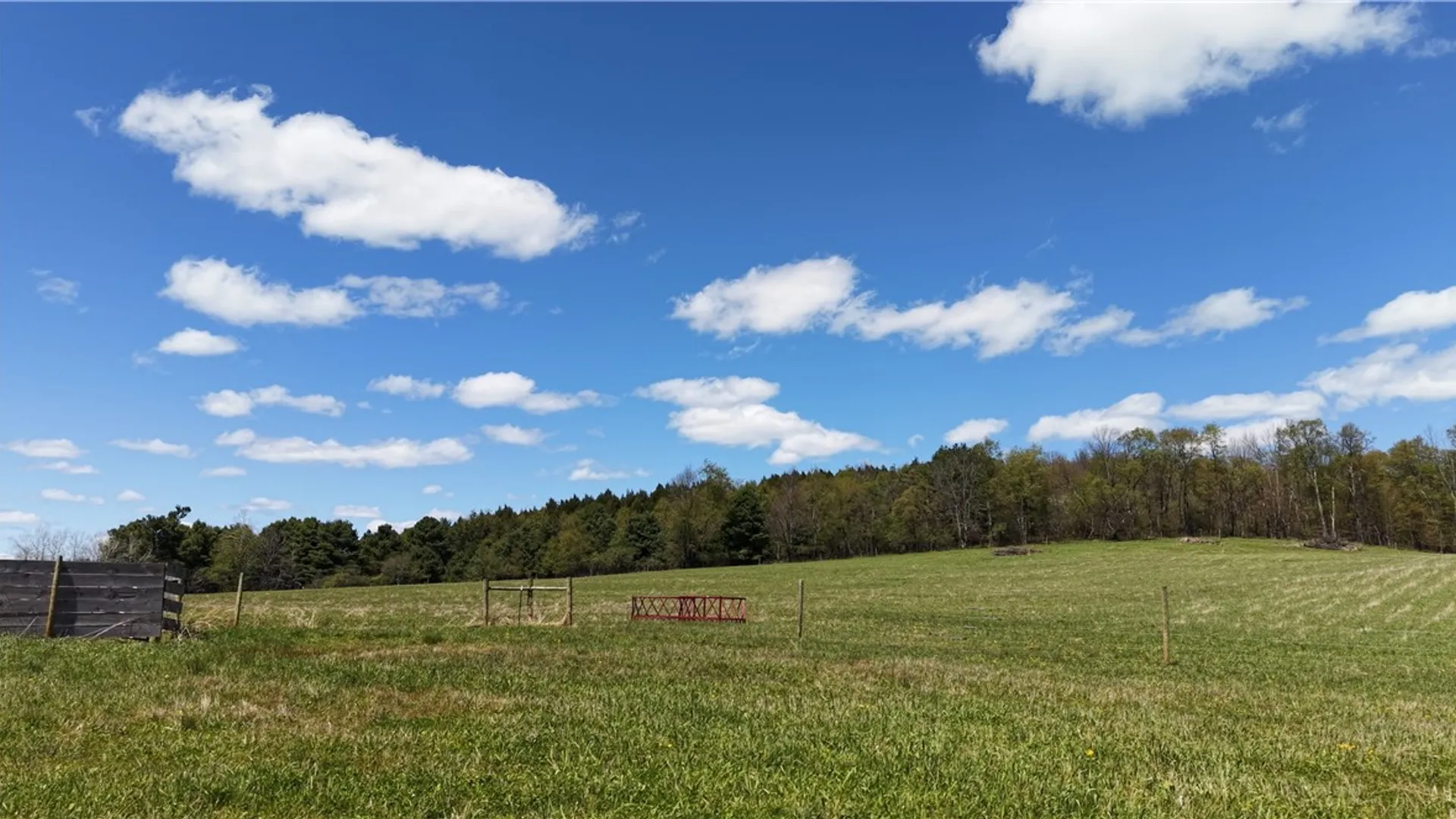 Property at 328 Miller Road, Pittsfield, NY 13411 50