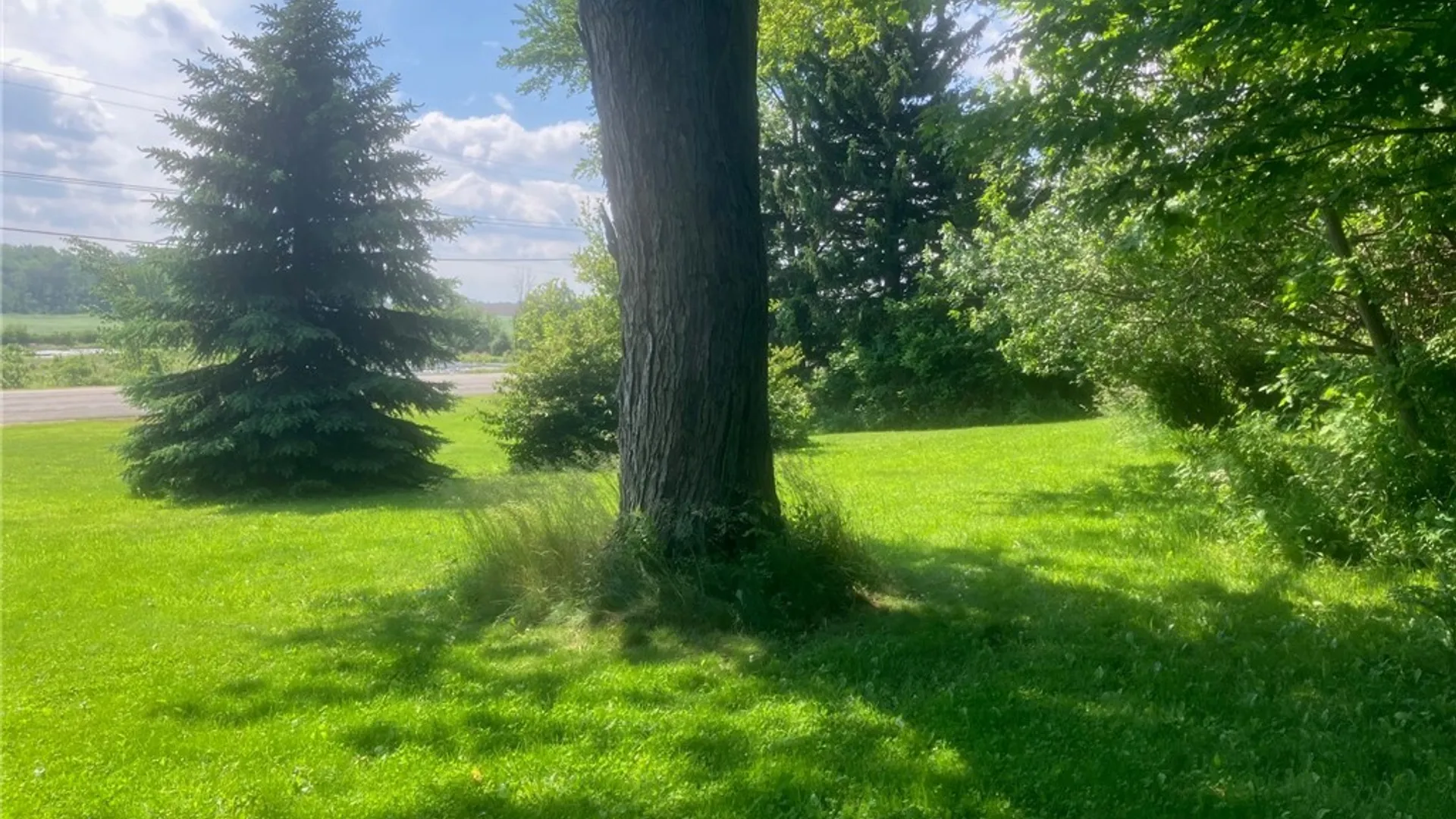 Property at 1648 State Route 246, Perry, NY 14530 19