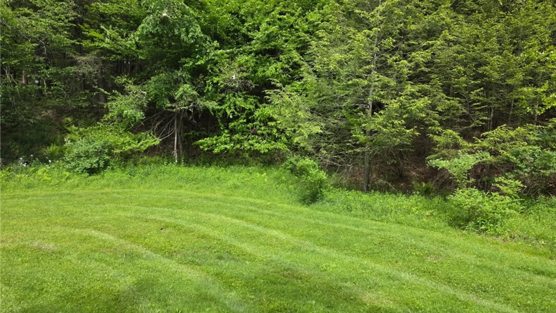 Property at 19624 State Highway 97, Hancock, NY 13783 11