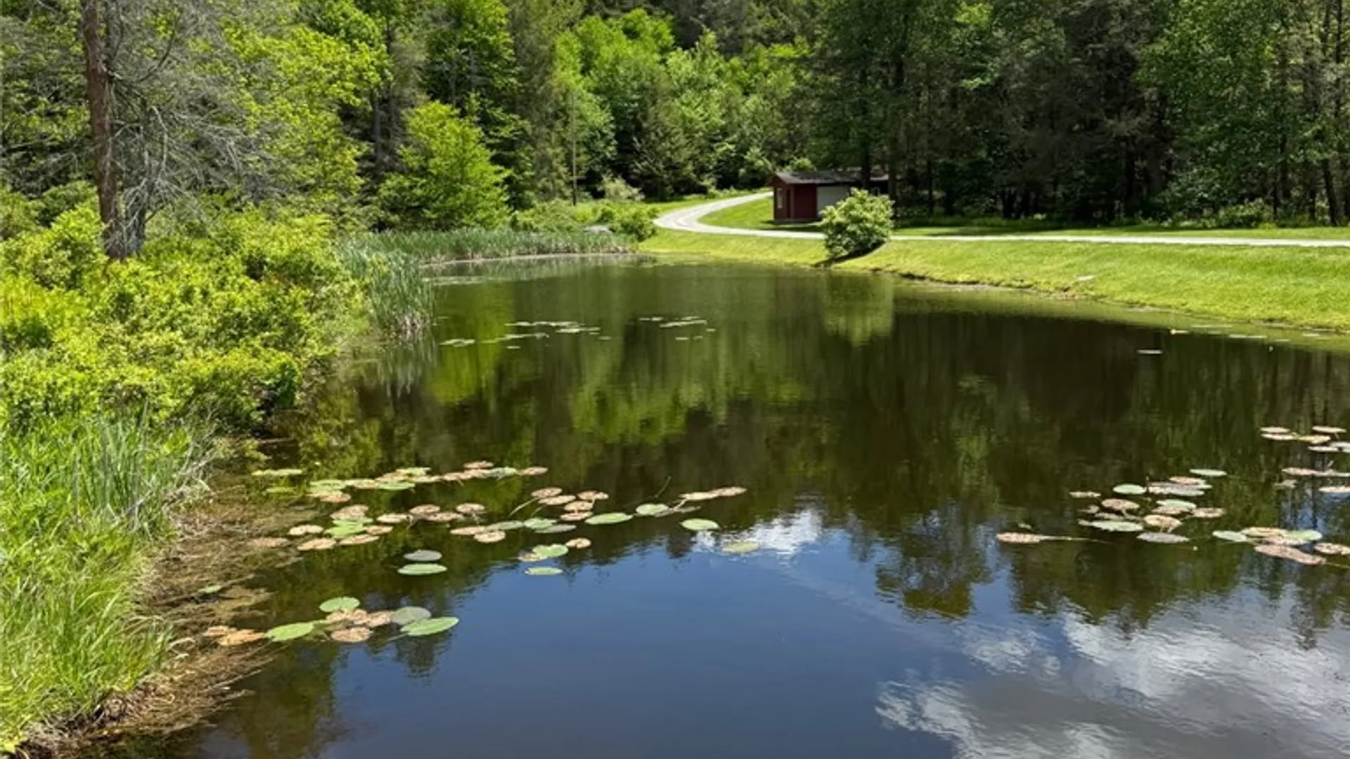 Property at 19624 State Highway 97, Hancock, NY 13783 7
