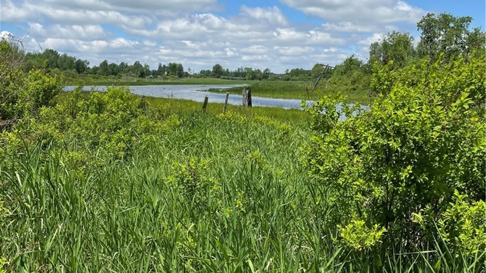 Property at Lost Nations Road, Centerville, NY 14029 10