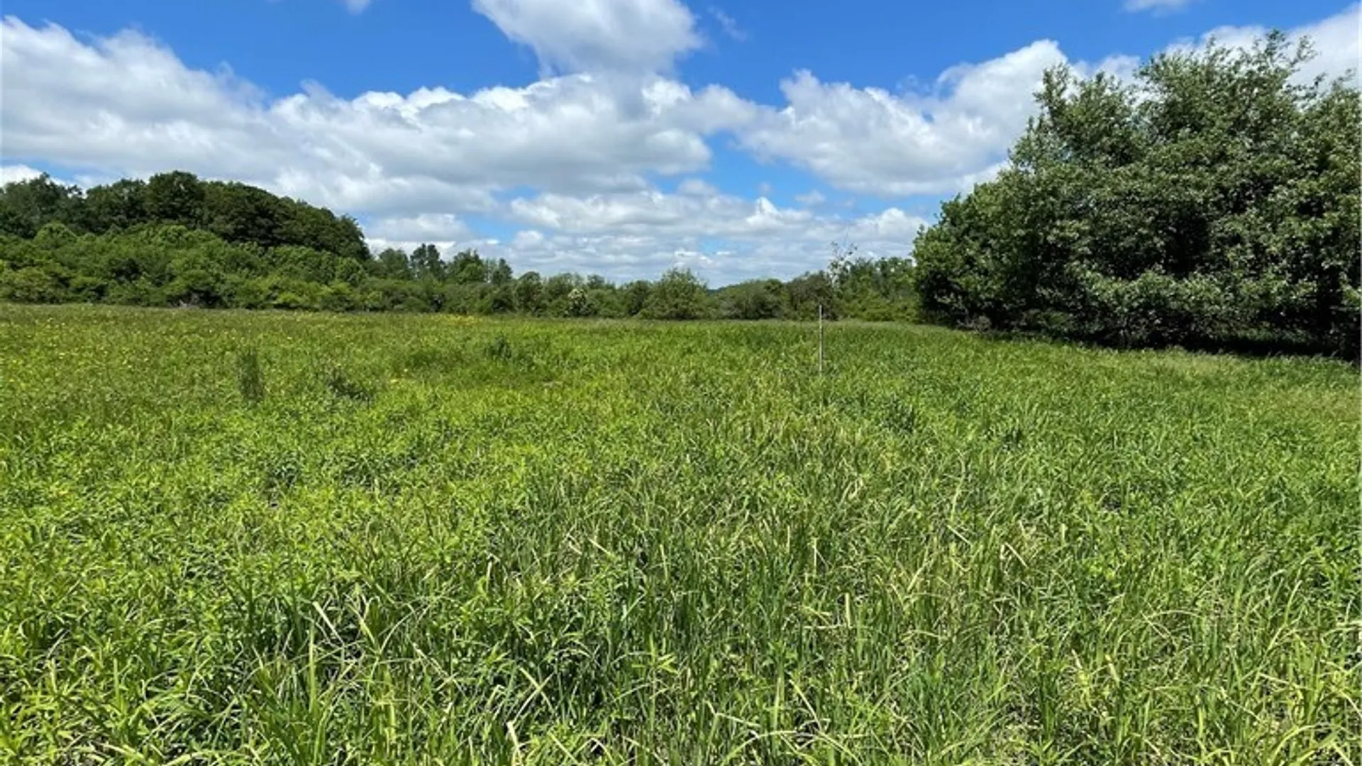Property at Lost Nations Road, Centerville, NY 14029 12