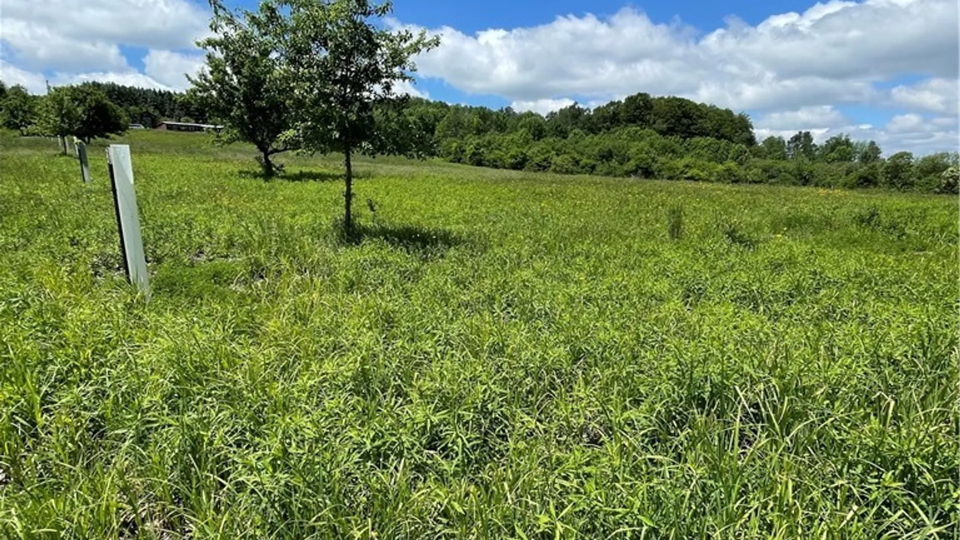 Property at Lost Nations Road, Centerville, NY 14029 13
