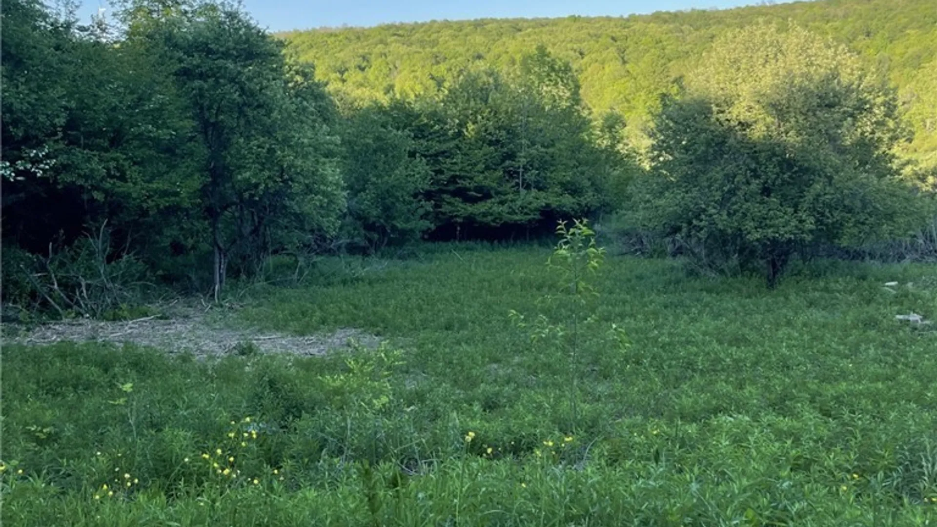 Property at Lost Nations Road, Centerville, NY 14029 2