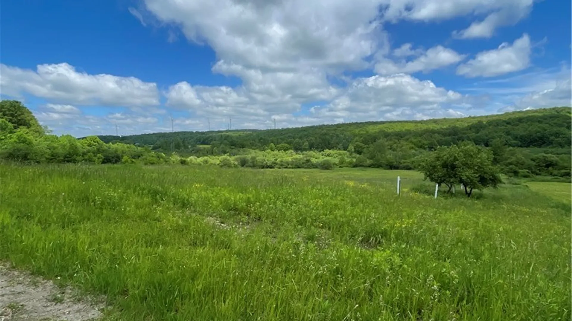 Property at Lost Nations Road, Centerville, NY 14029 3