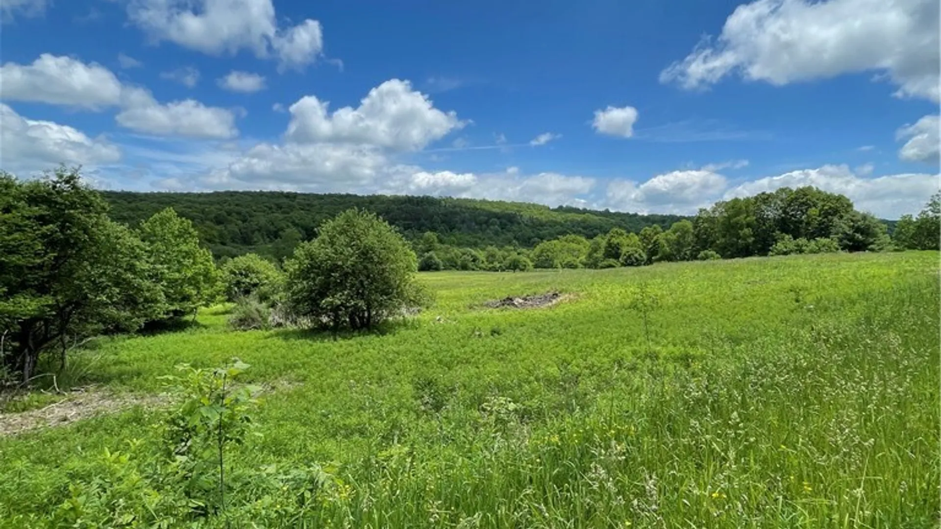 Property at Lost Nations Road, Centerville, NY 14029 4