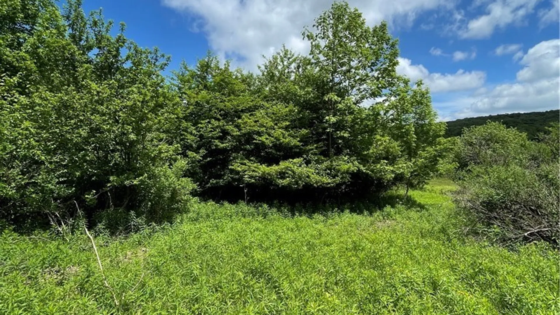 Property at Lost Nations Road, Centerville, NY 14029 5