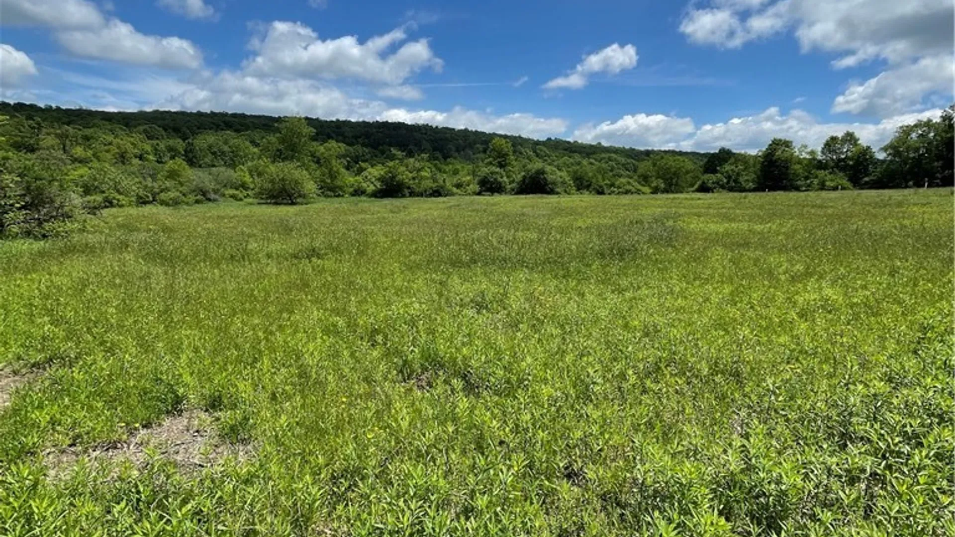 Property at Lost Nations Road, Centerville, NY 14029 6