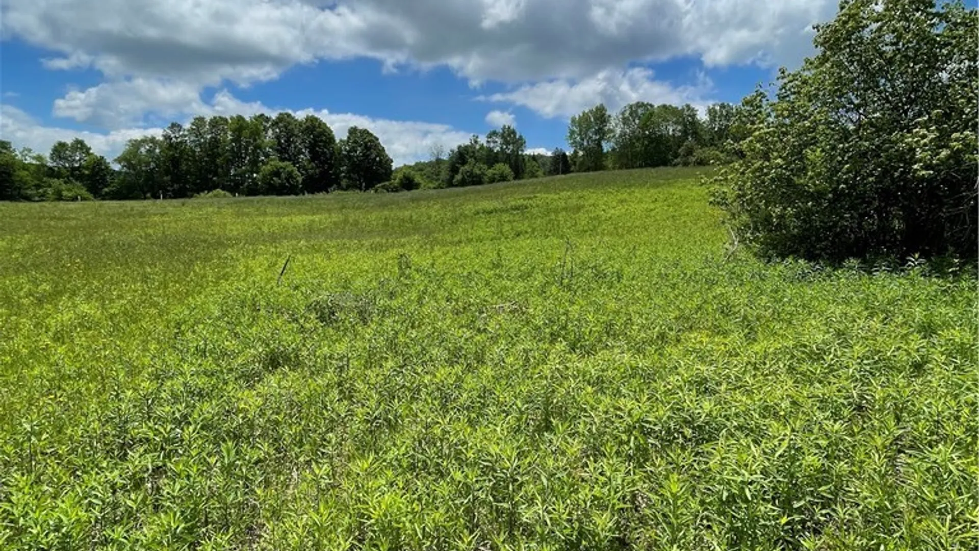 Property at Lost Nations Road, Centerville, NY 14029 7