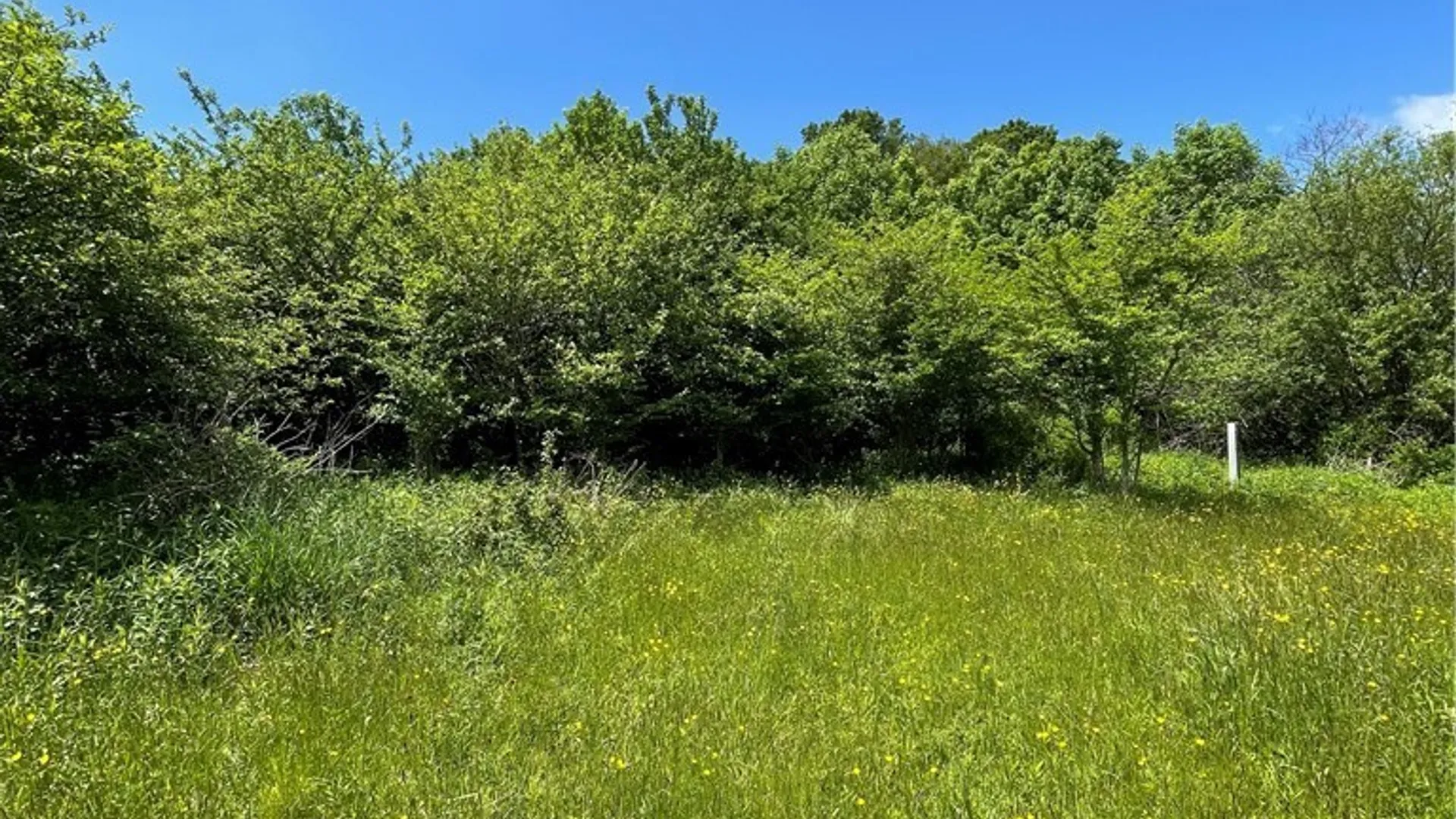Property at Lost Nations Road, Centerville, NY 14029 9