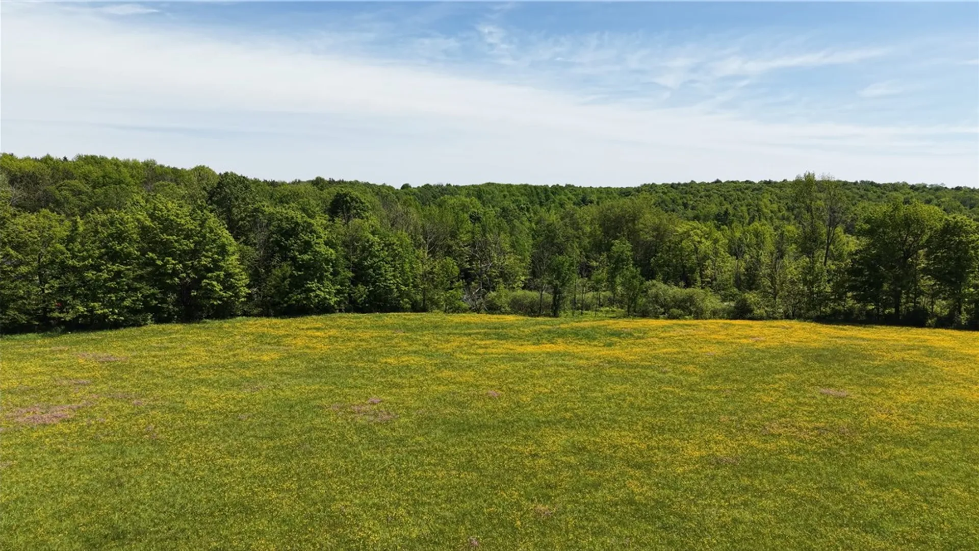 Property at 362 Brown Gale Road, Mc Donough, NY 13801 32