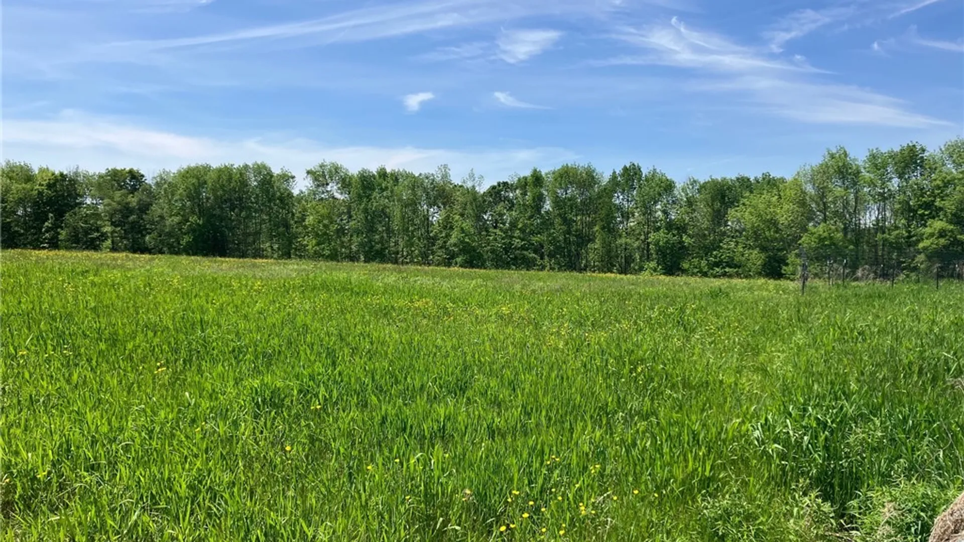 Property at 362 Brown Gale Road, Mc Donough, NY 13801 39