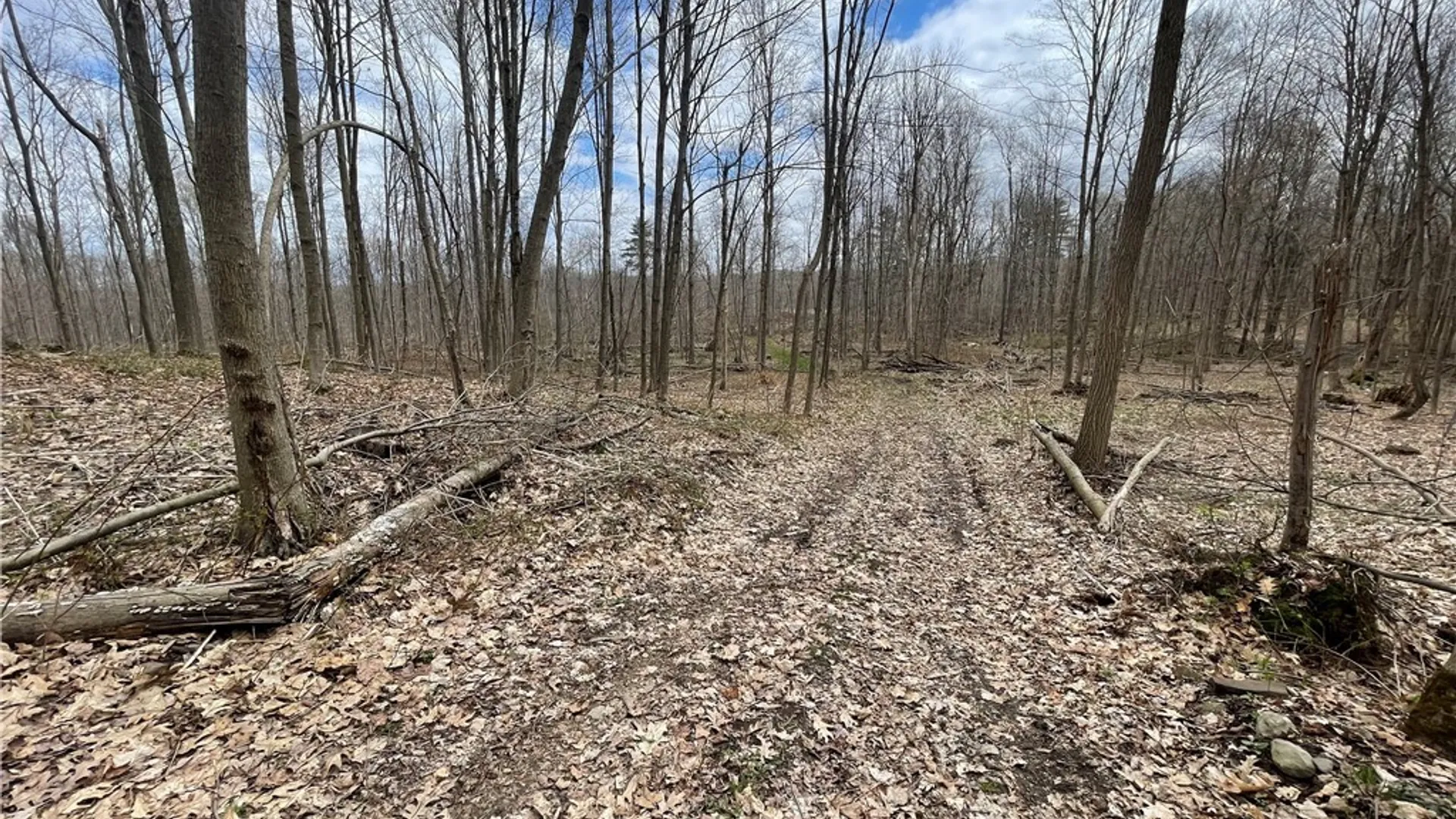 Property at 3442 County Route 57, Volney, NY 13126 22
