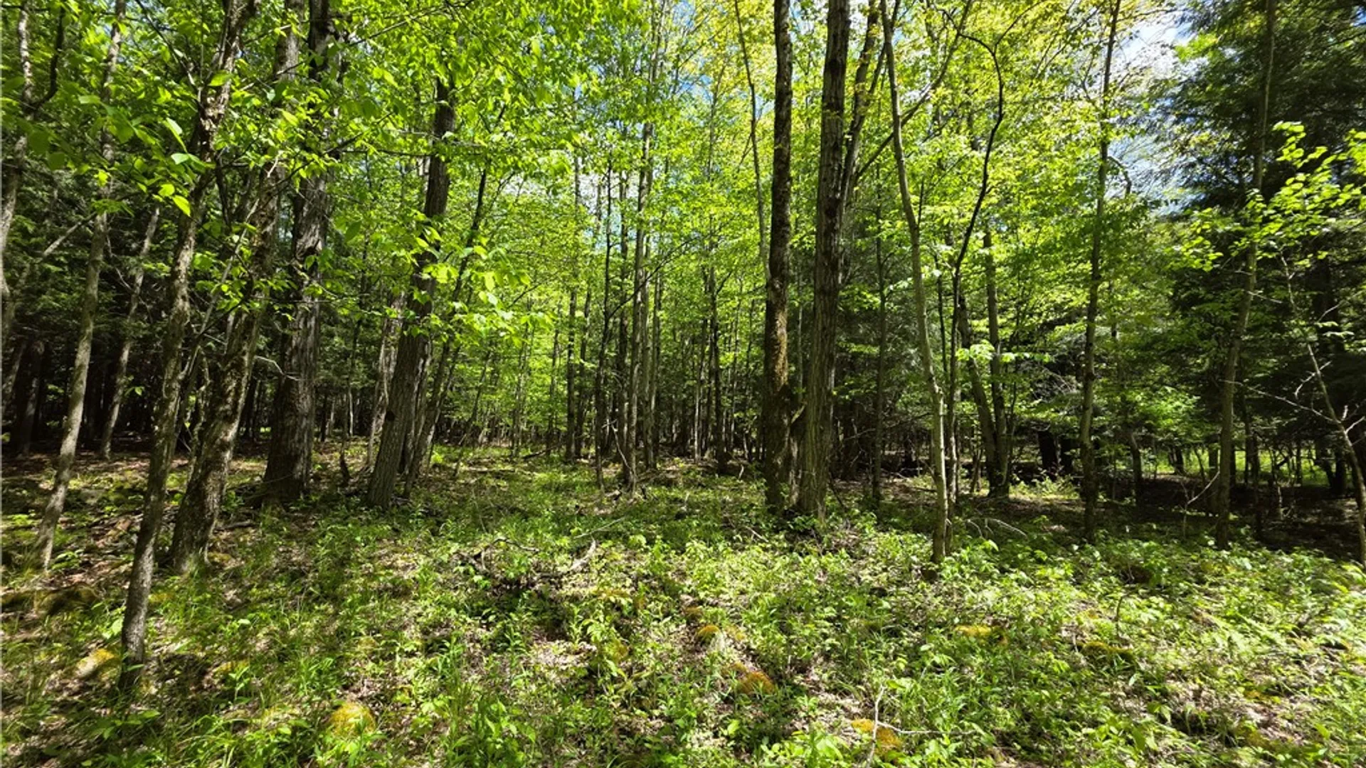 Property at 3040 Quigg Hollow Road, Andover, NY 14806 39