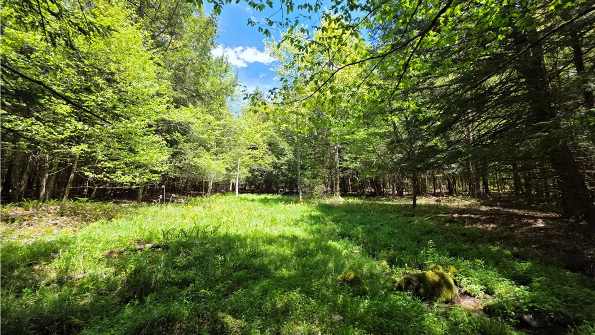 Property at 3040 Quigg Hollow Road, Andover, NY 14806 40