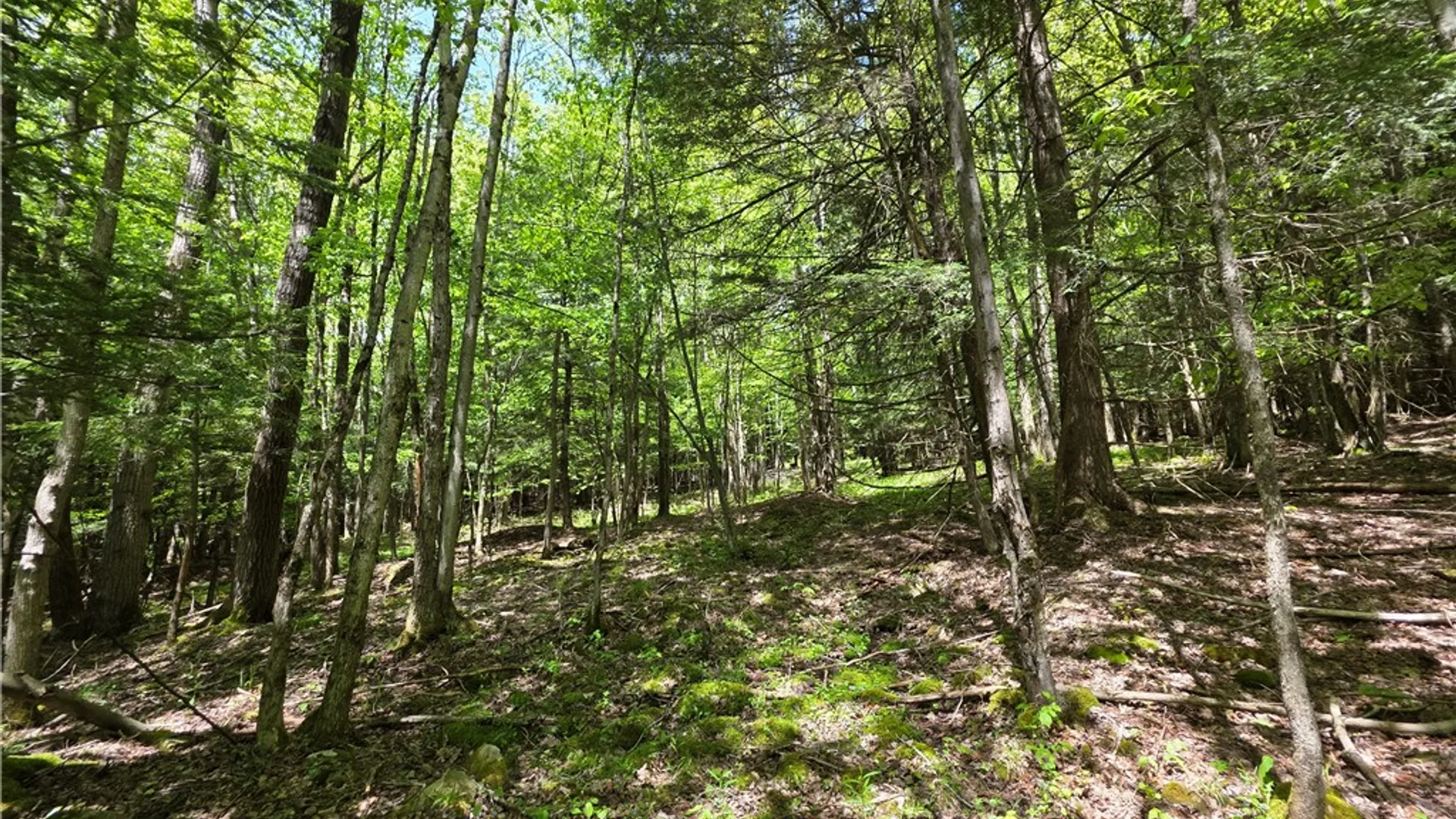 Property at 3040 Quigg Hollow Road, Andover, NY 14806 41