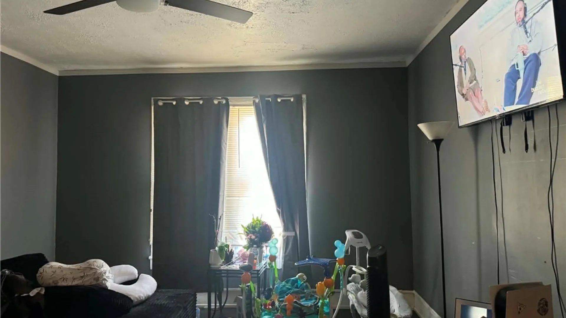 Property at 223 Mount Zoar Street, Elmira City, NY 14904 2