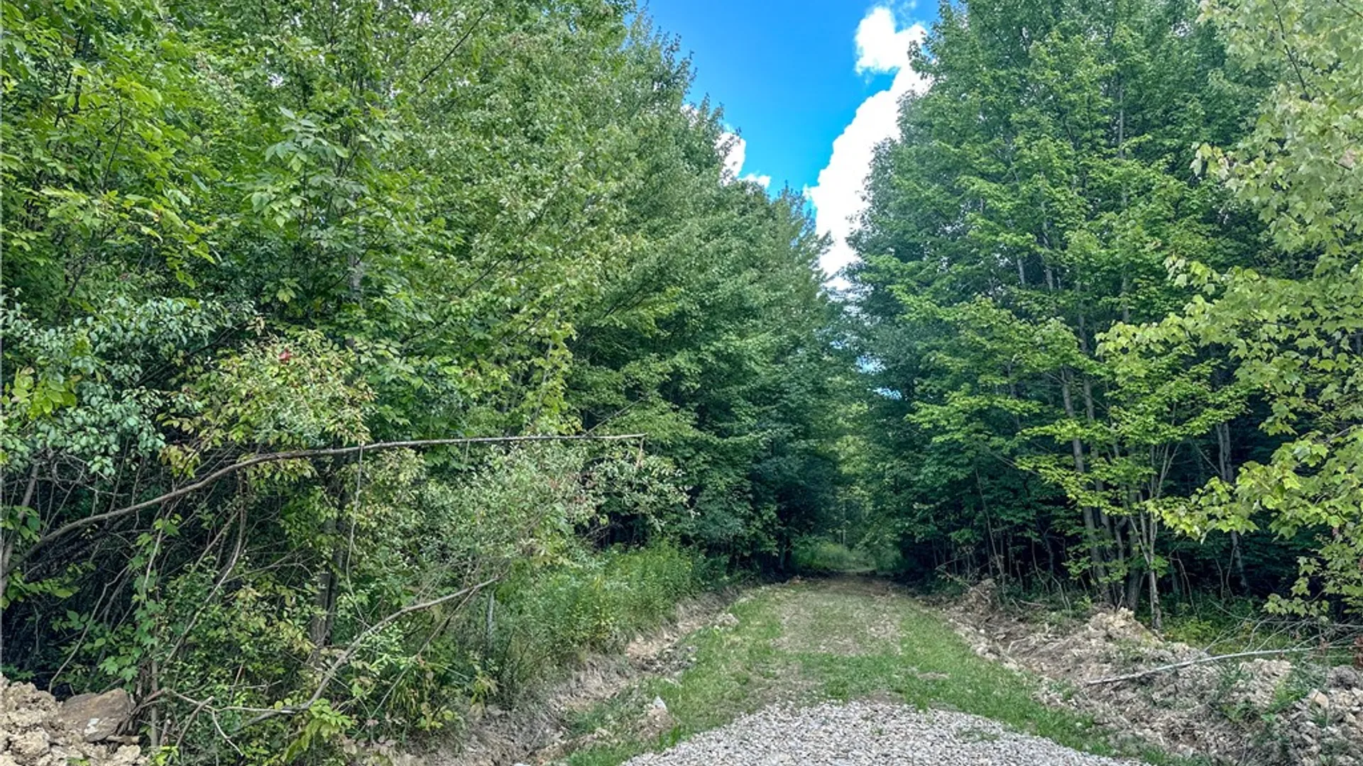 Property at 8190 Billing Drive, Birdsall, NY 14804 4