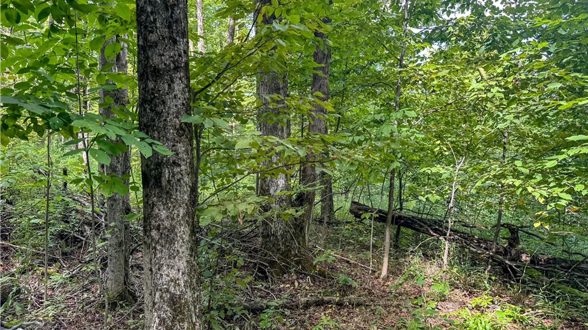 Property at 8190 Billing Drive, Birdsall, NY 14804 8