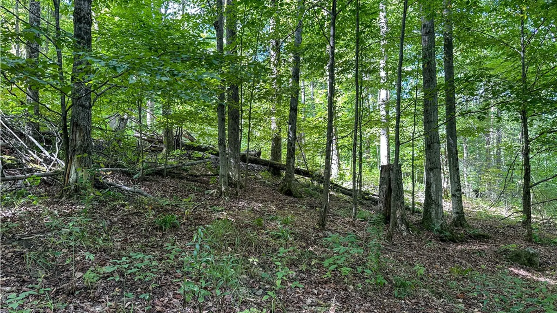 Property at 8190 Billing Drive, Birdsall, NY 14804 9