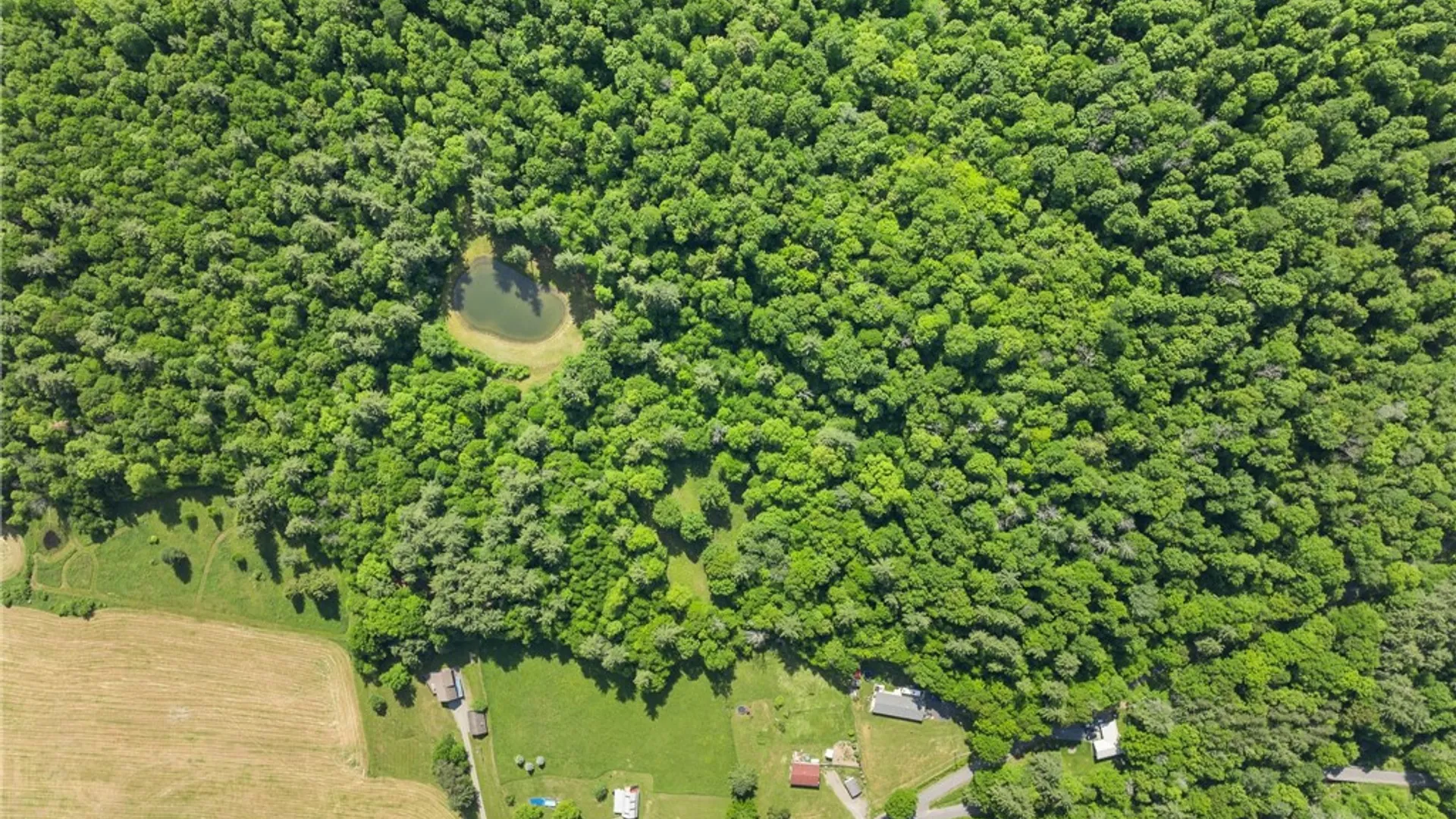 Property at 163 Race Road, Greene, NY 13778 13
