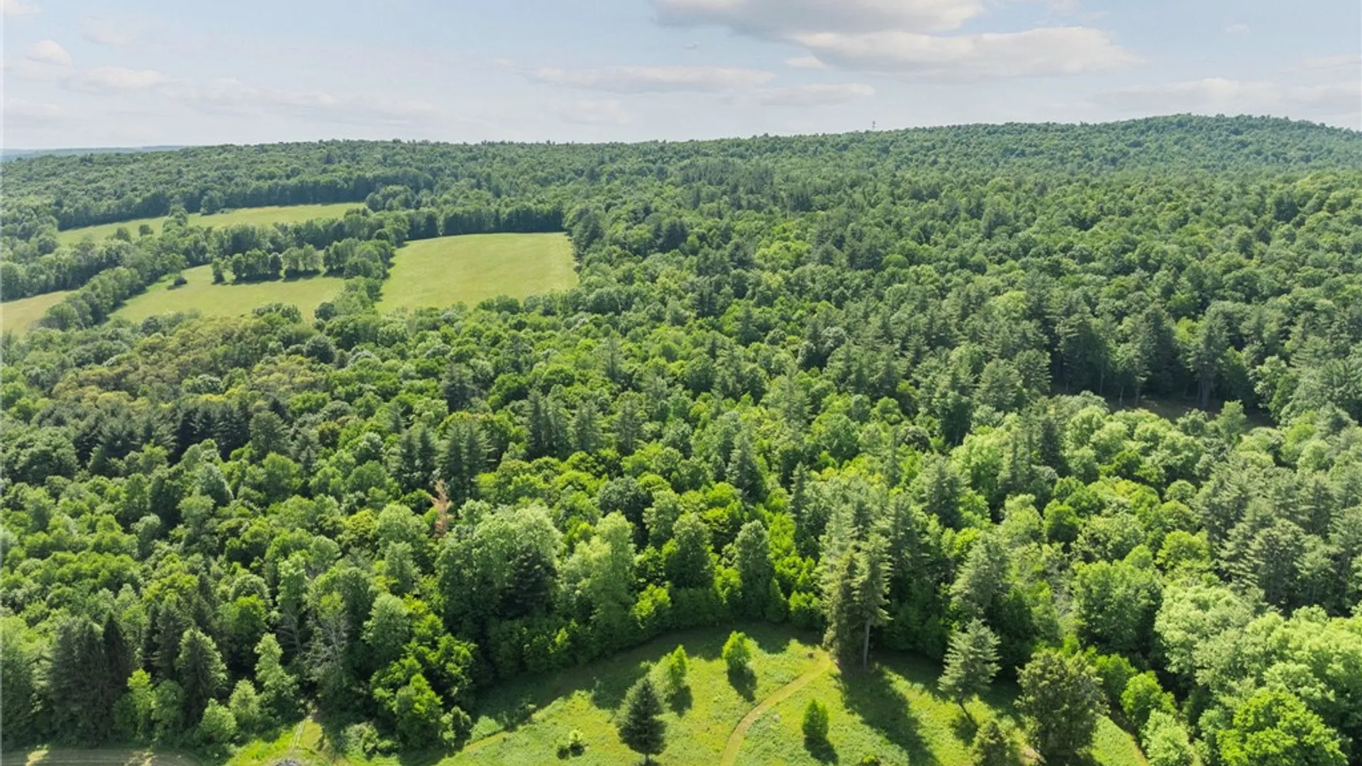 Property at 163 Race Road, Greene, NY 13778 14