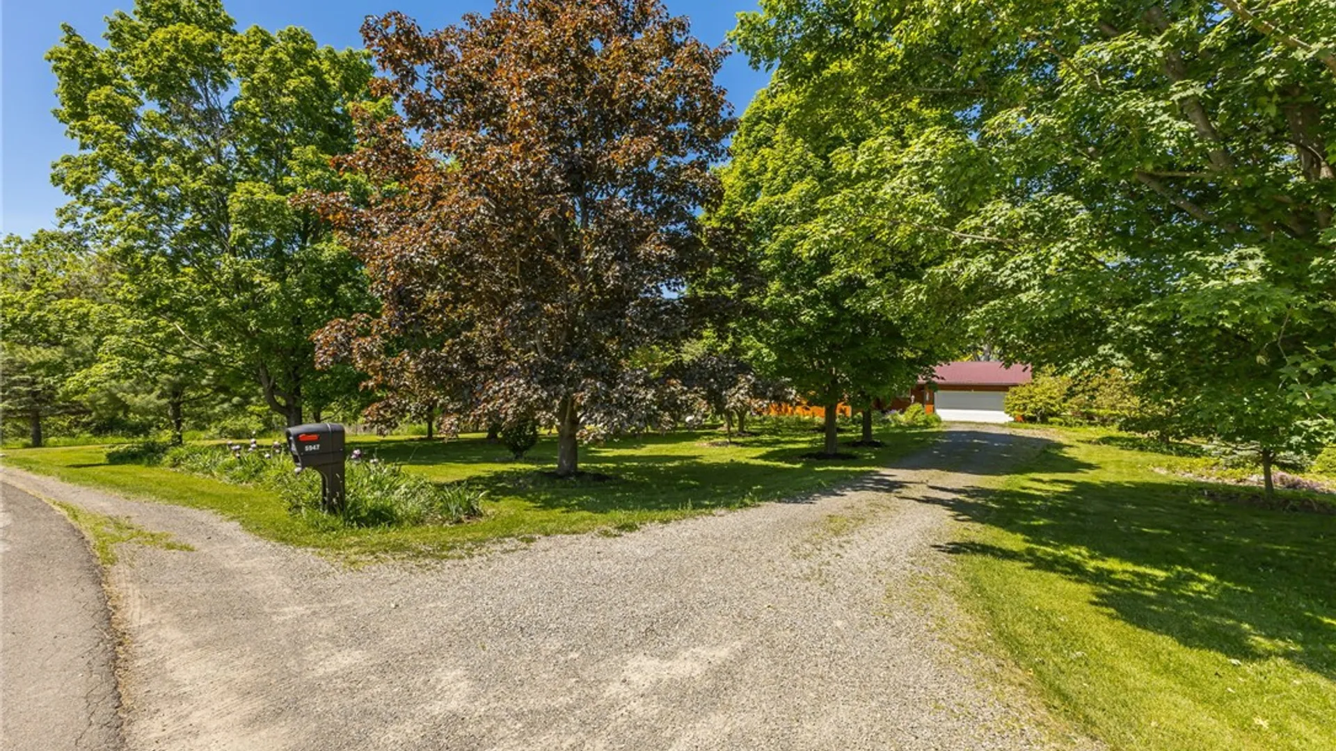 Property at 5947 Harter Road, Sparta, NY 14437 4