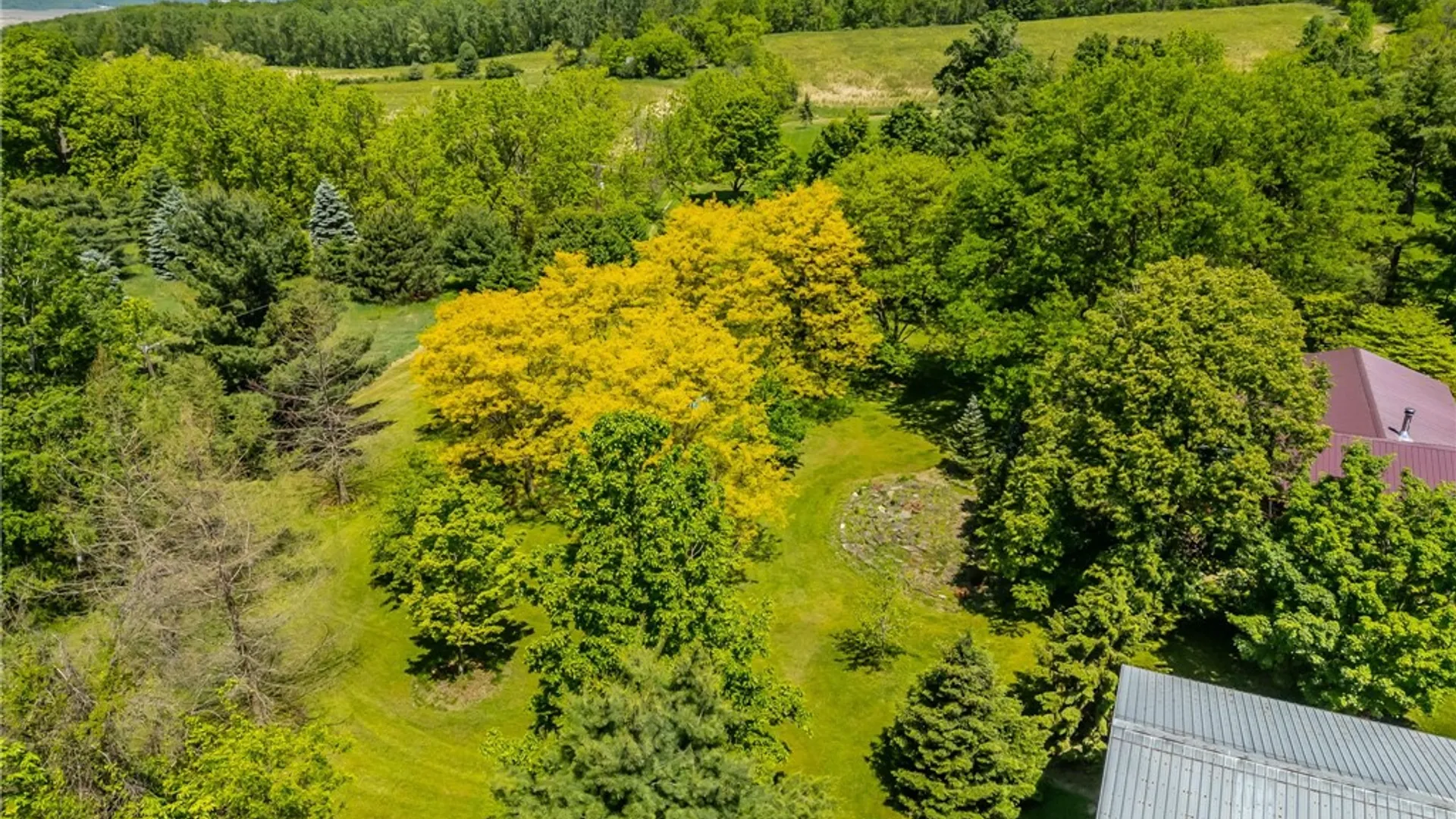 Property at 5947 Harter Road, Sparta, NY 14437 46