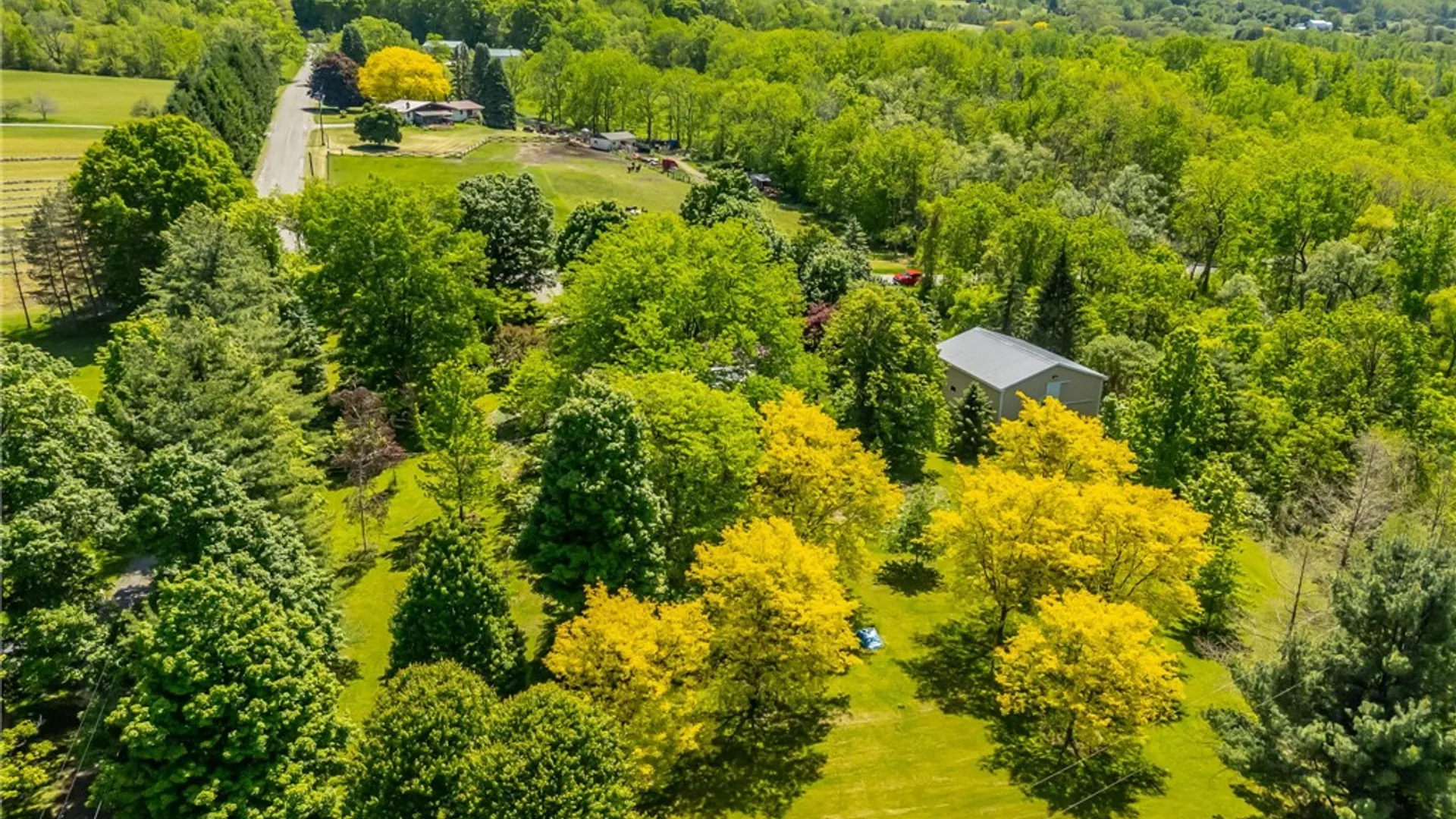 Property at 5947 Harter Road, Sparta, NY 14437 49