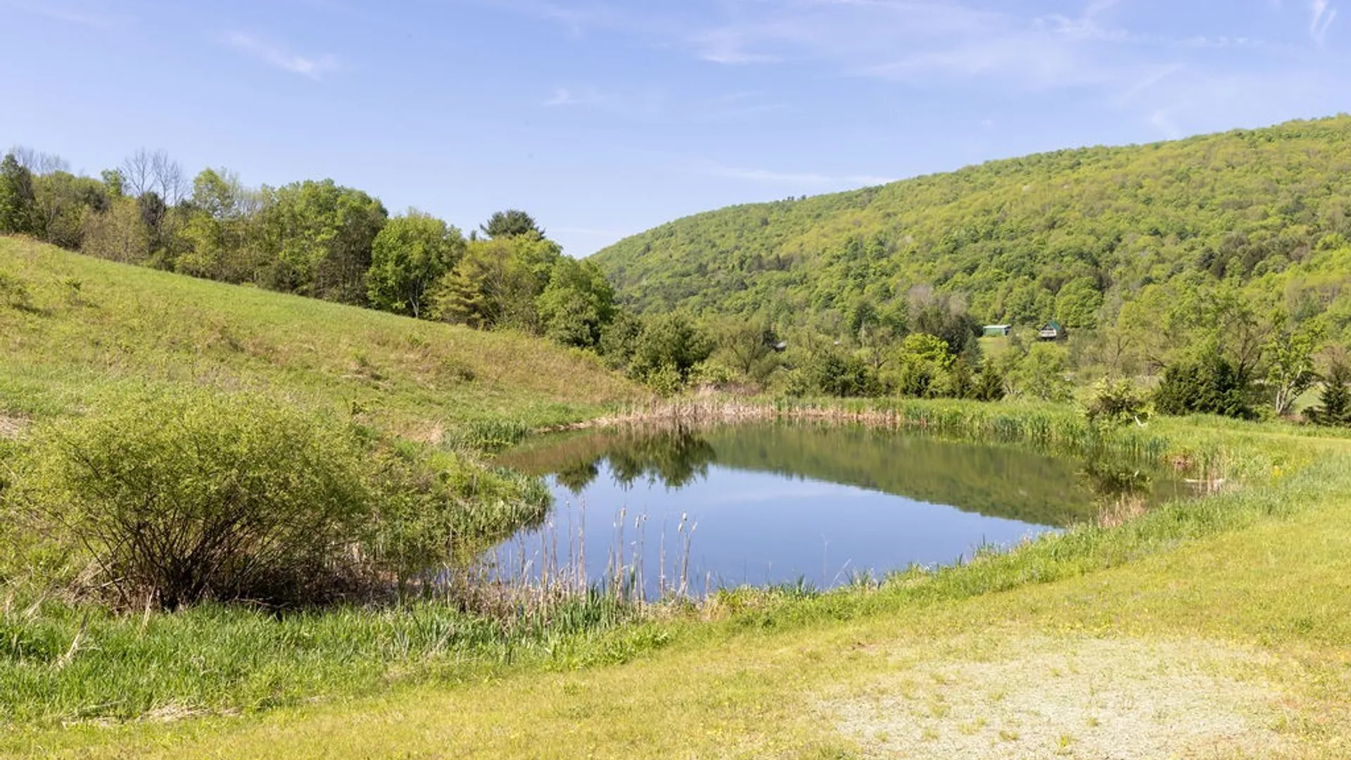 Property at 2892 County Highway 22, Walton, NY 13856 16