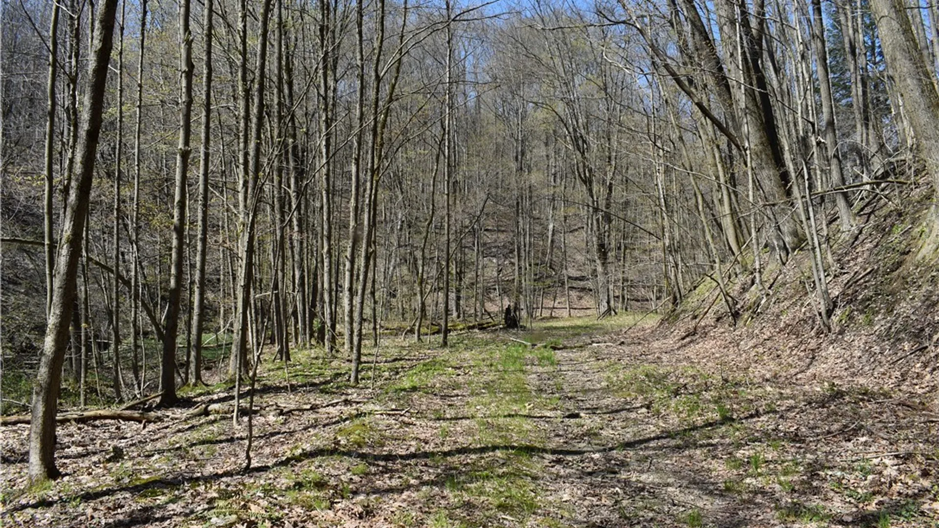 Property at 0 Fuller Gulf Road, Ellington, NY 14723 5