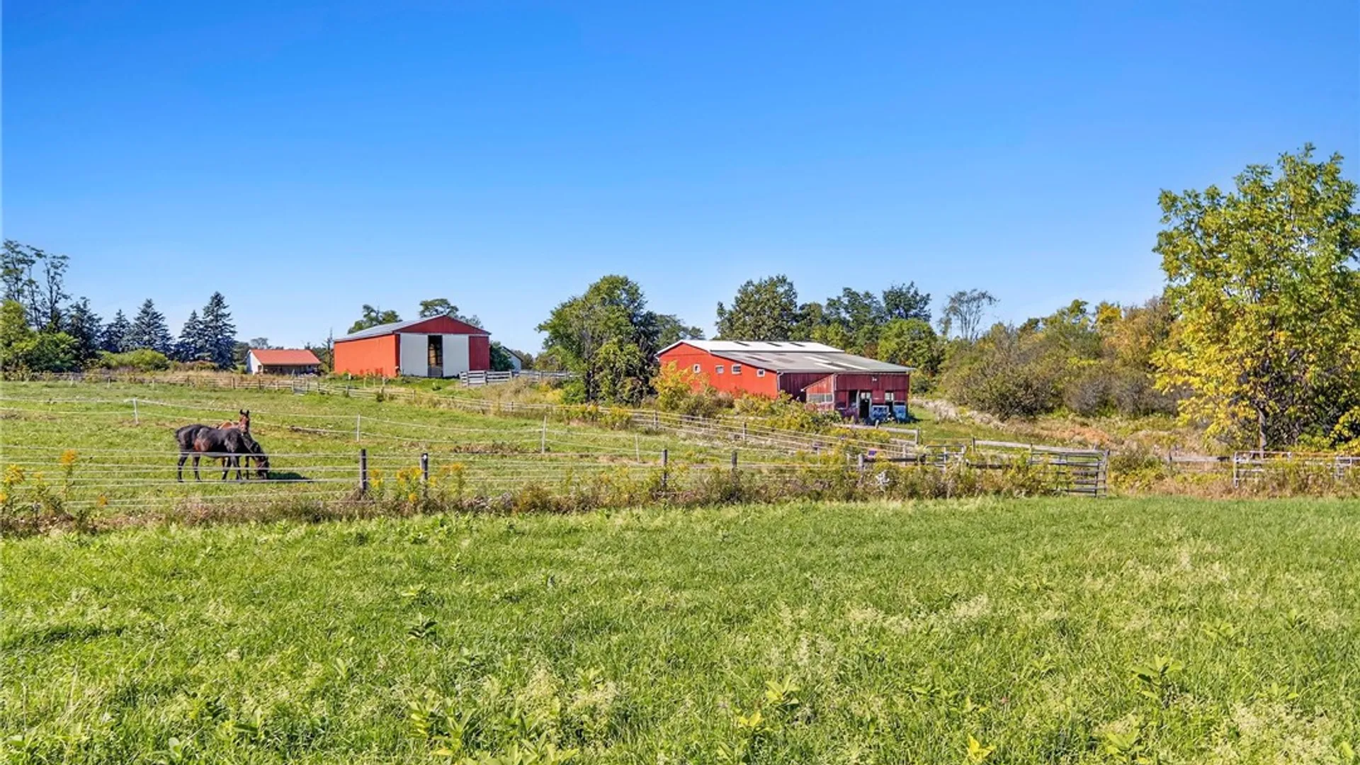 Property at 5730 Burr Road, Hector, NY 14886 41