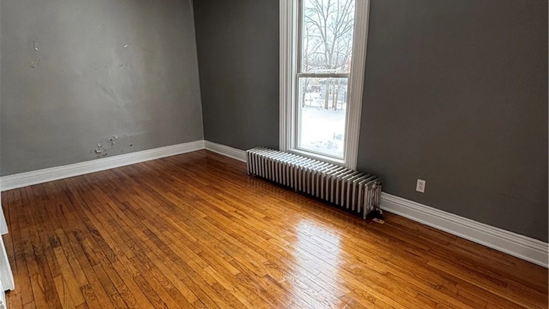 Property at 309 Mullin Street, Watertown City, NY 13601 3