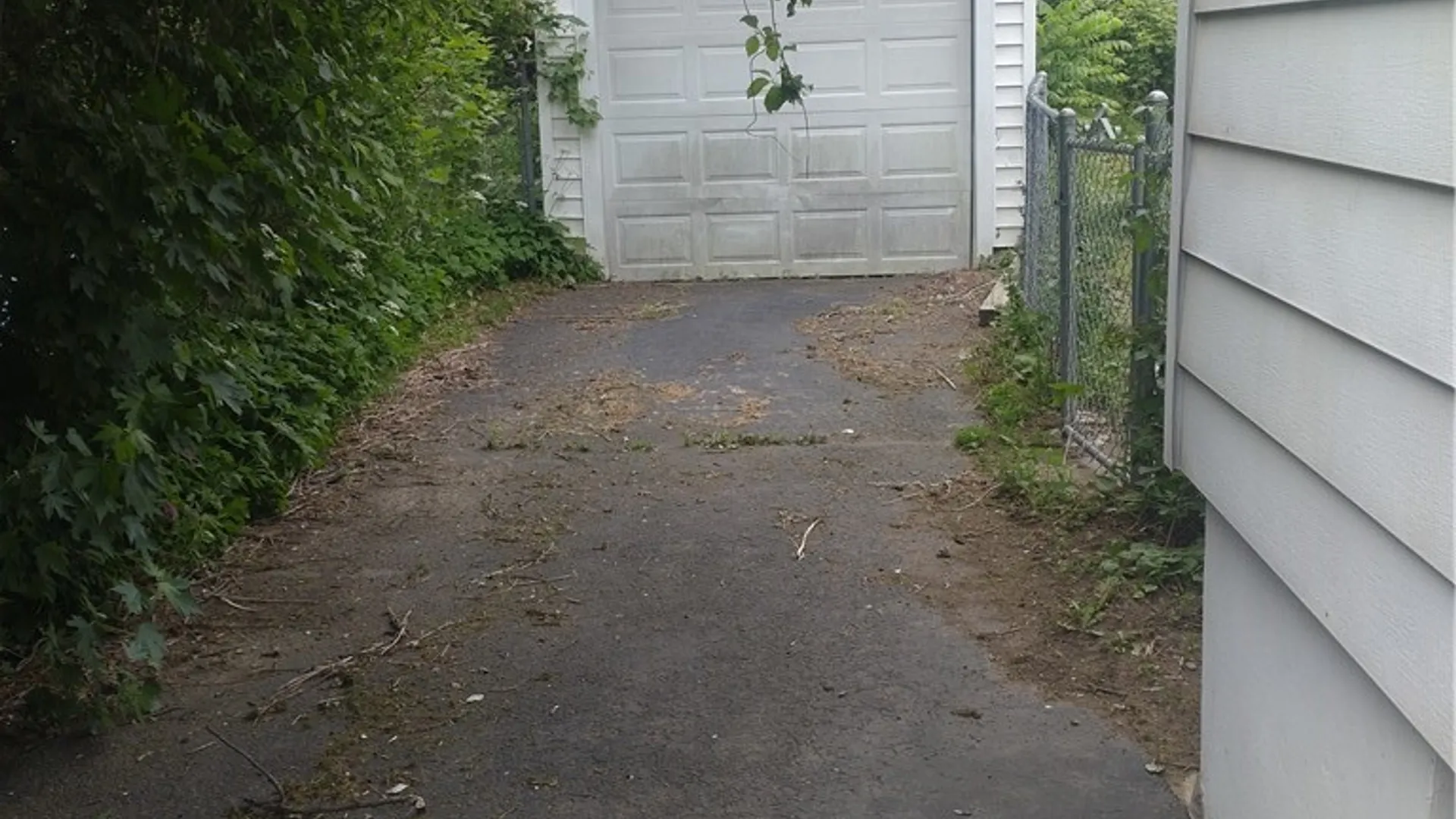 Property at 204 Shepler Street, Elmira City, NY 14904 2
