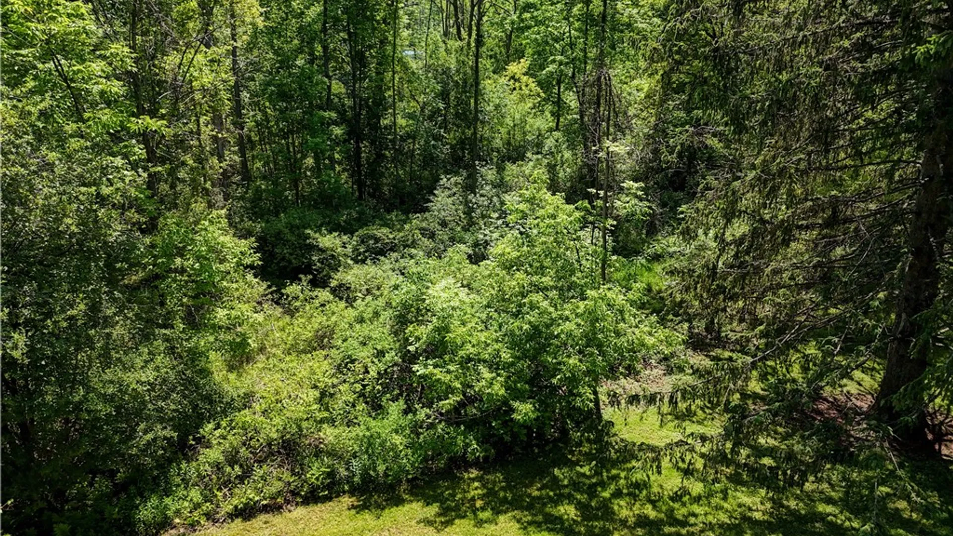 Property at 610 Webster Rd, Webster, NY 14580 24