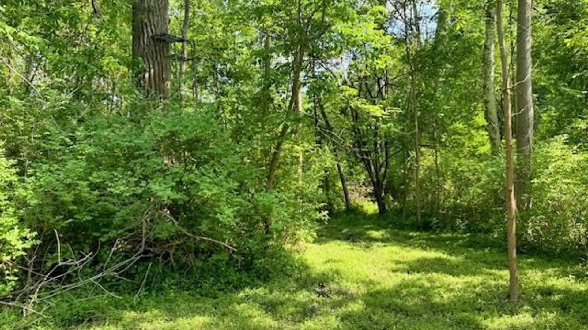 Property at 610 Webster Rd, Webster, NY 14580 27