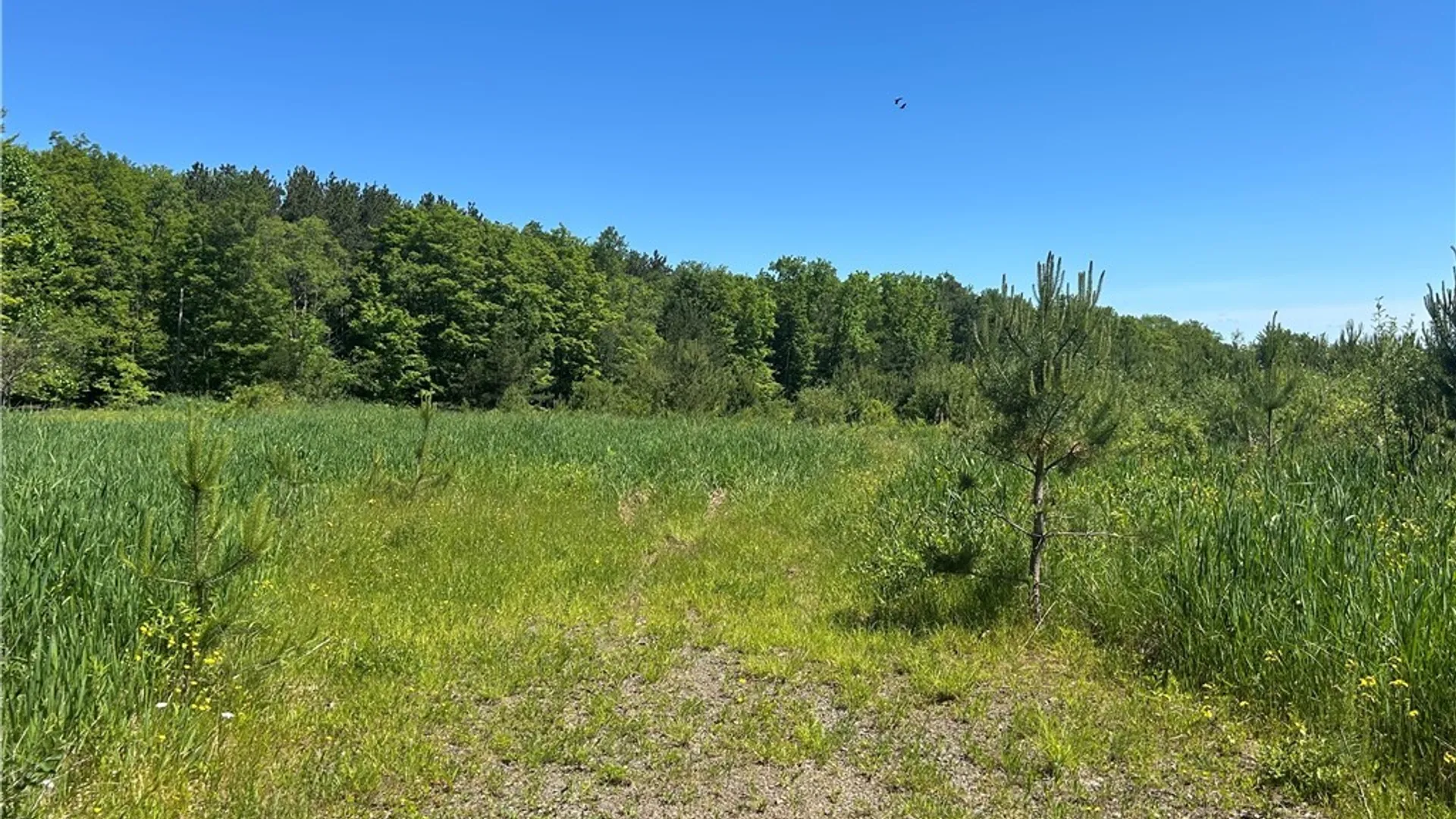 Property at Warner Hill Road, Wales, NY 14169 3