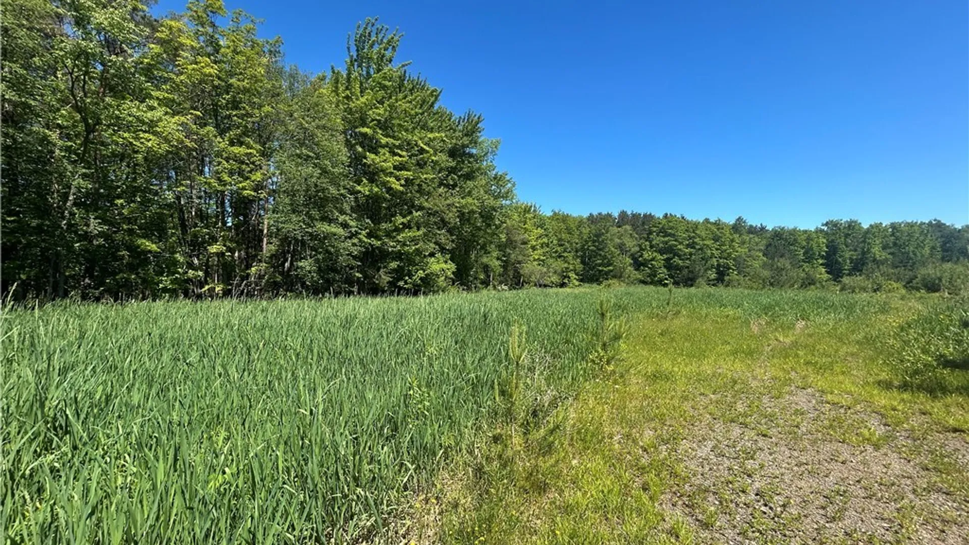 Property at Warner Hill Road, Wales, NY 14169 4