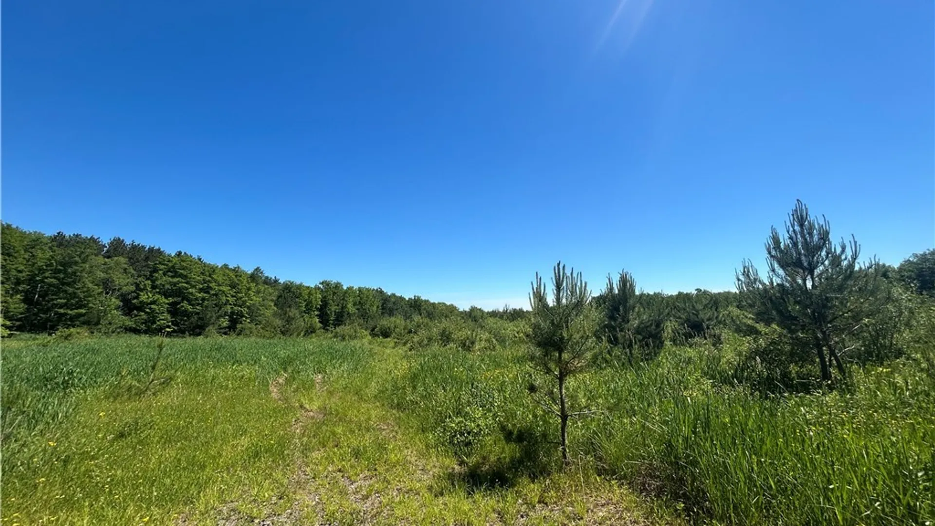 Property at Warner Hill Road, Wales, NY 14169 5