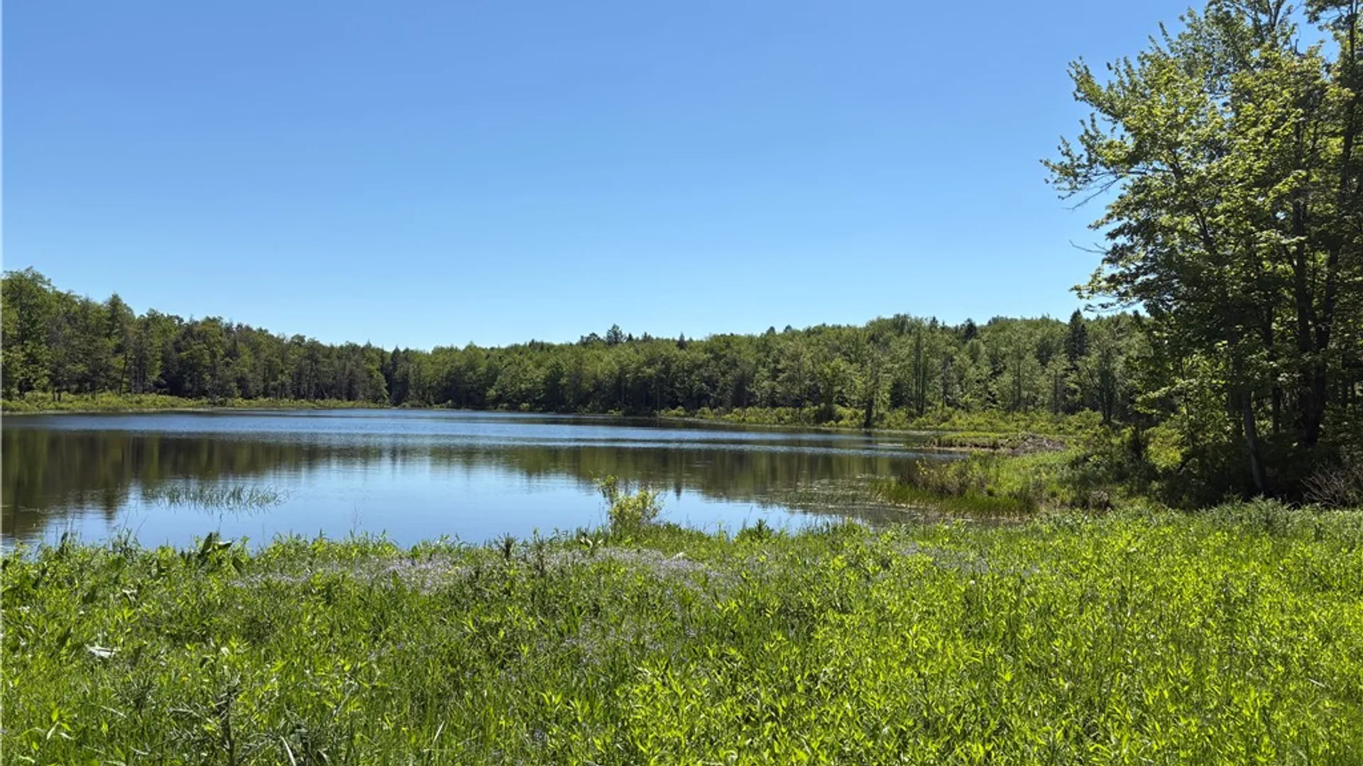 Property at County Rd 42, Pharsalia, NY 13758 9