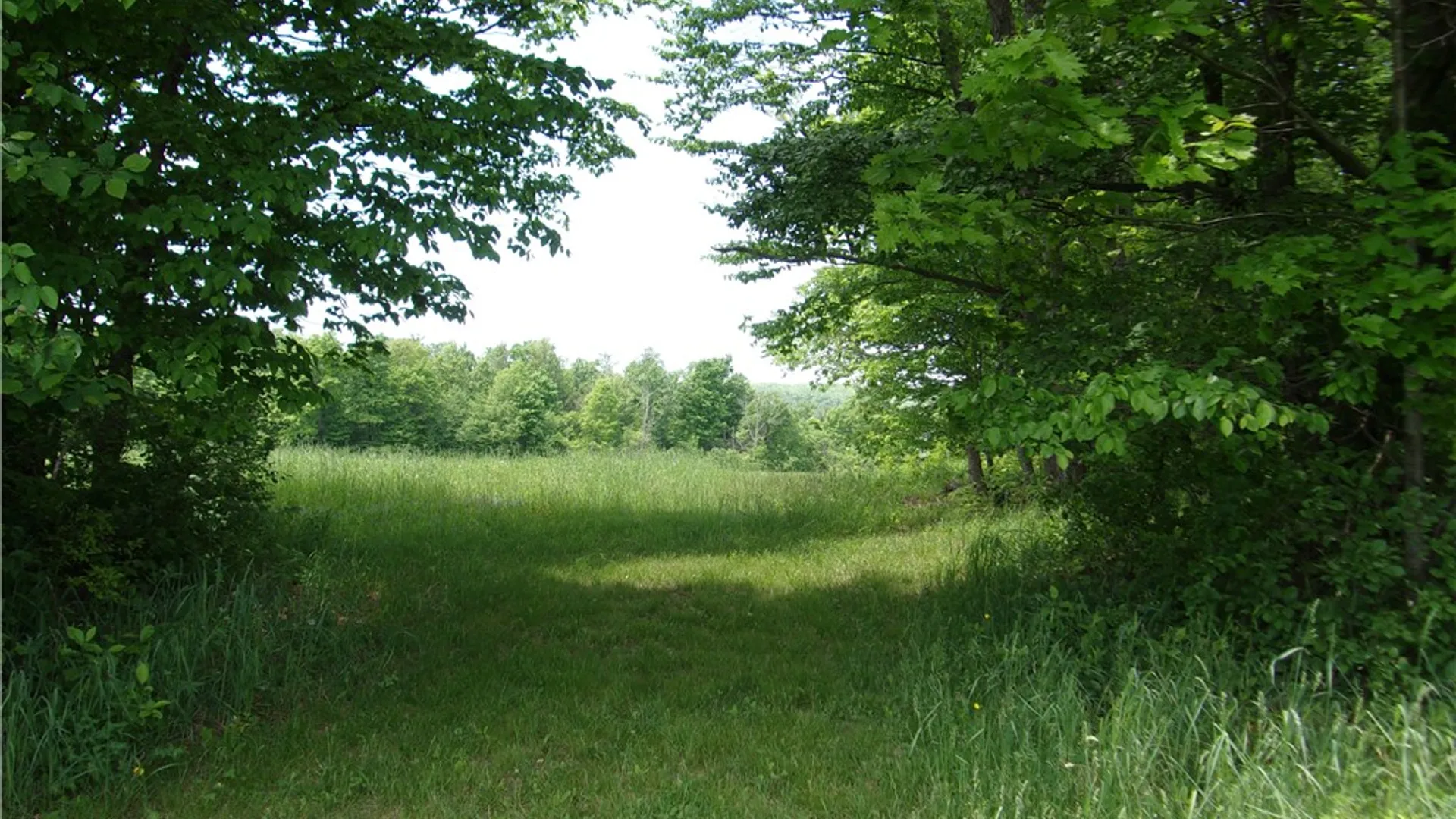 Property at 600 Eiklor Road, Candor, NY 13743 29