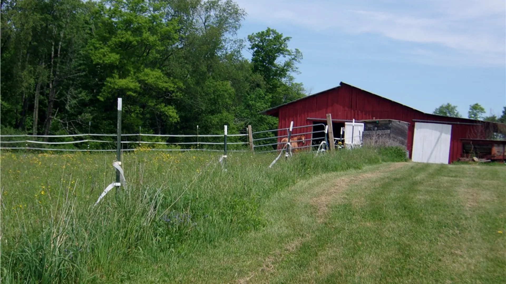 Property at 600 Eiklor Road, Candor, NY 13743 37