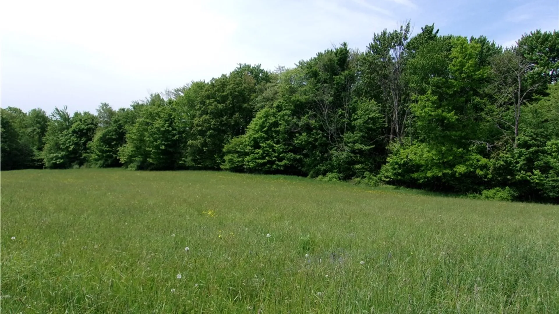 Property at 600 Eiklor Road, Candor, NY 13743 38