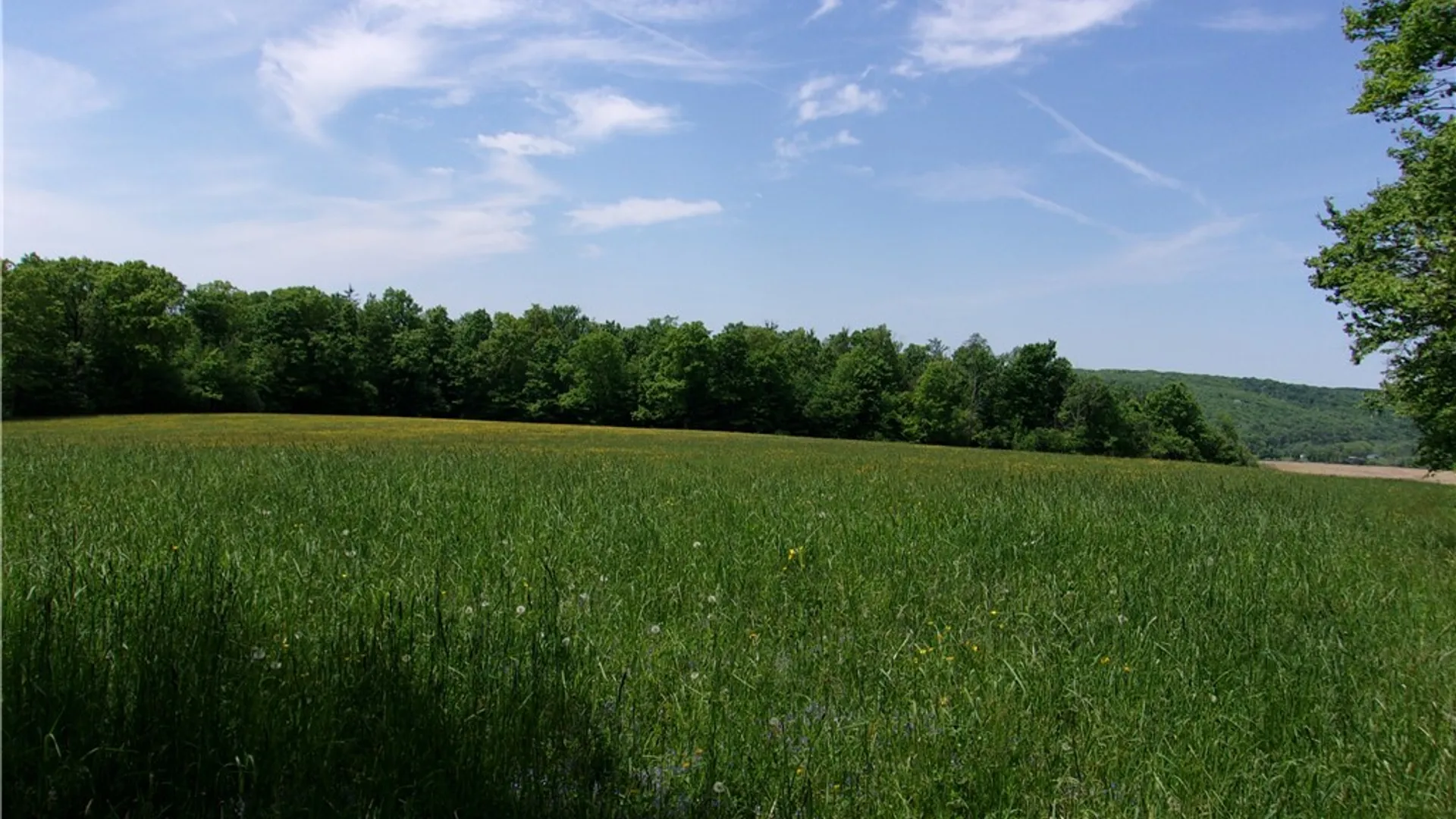 Property at 600 Eiklor Road, Candor, NY 13743 7