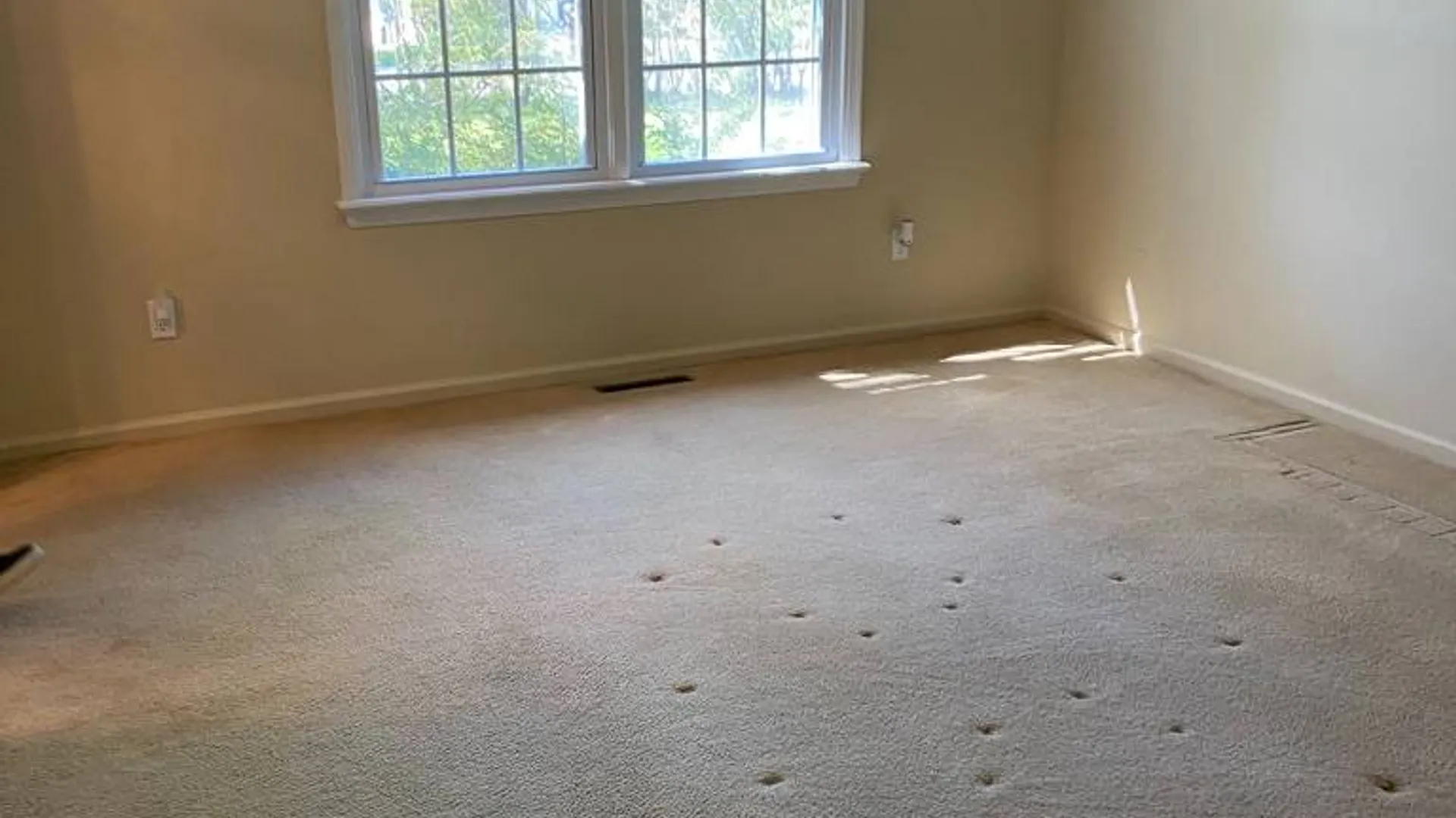 Property at 1885 Route 302, Circleville, NY 10919 8
