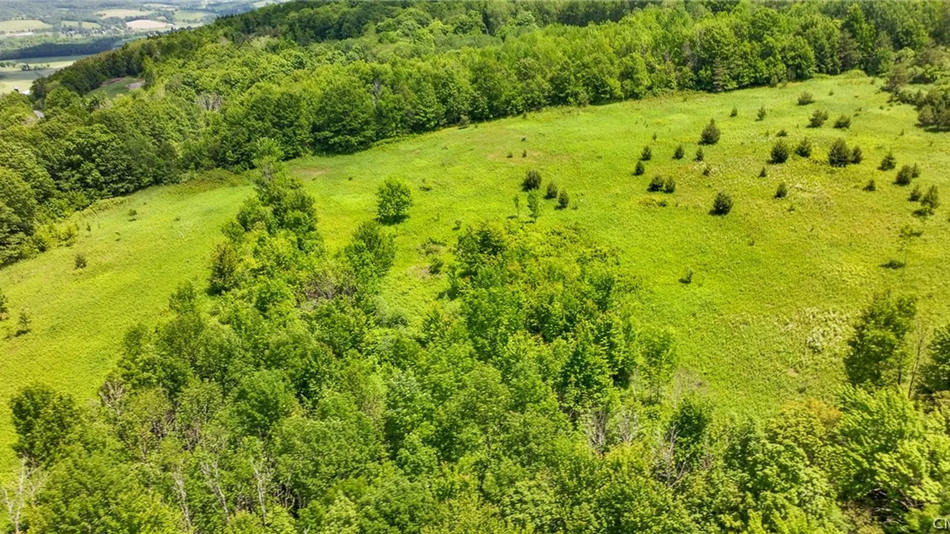 Property at Bush Street, Seward, NY 12043 2